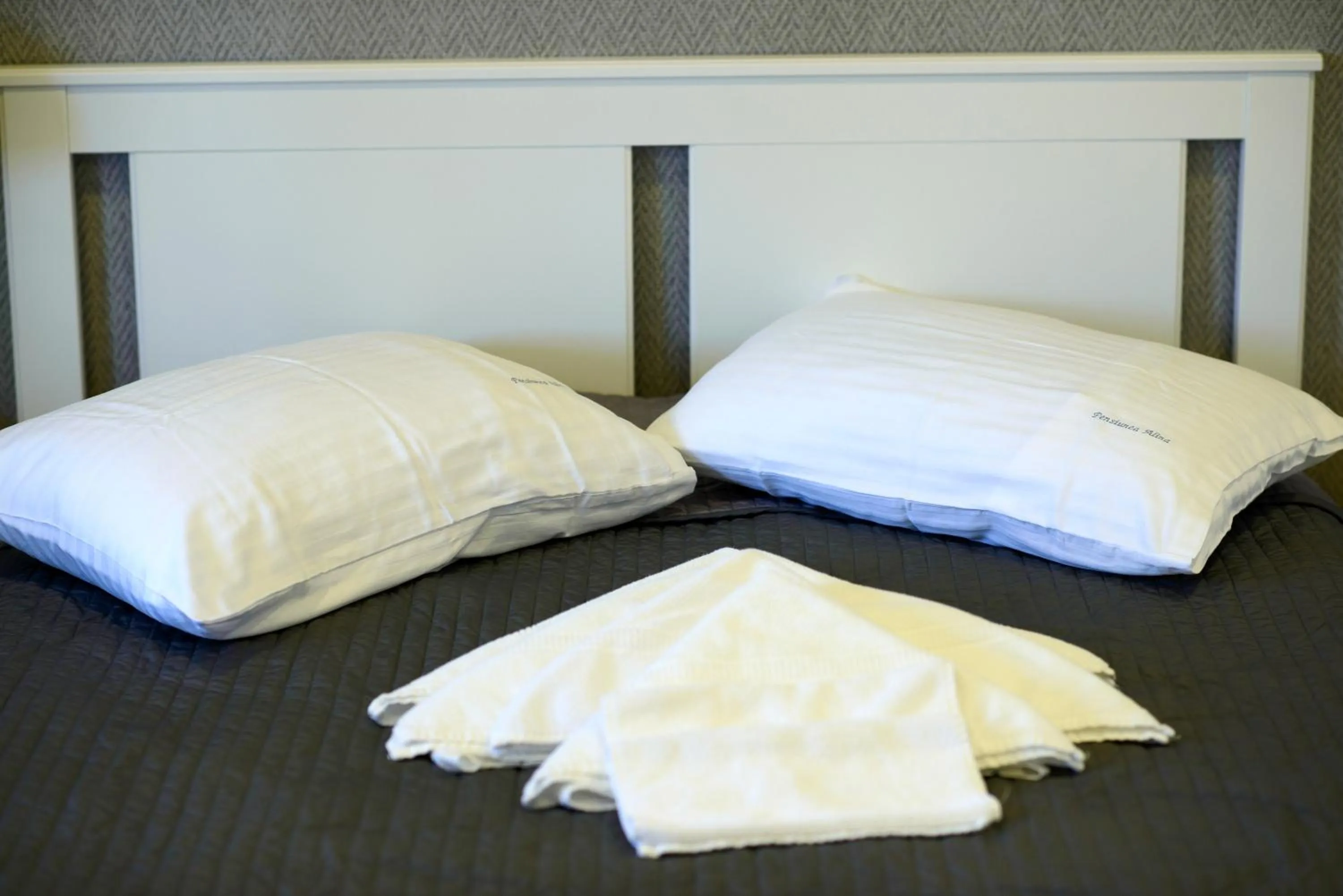 Bed in Pensiunea Alina "Adults Only"