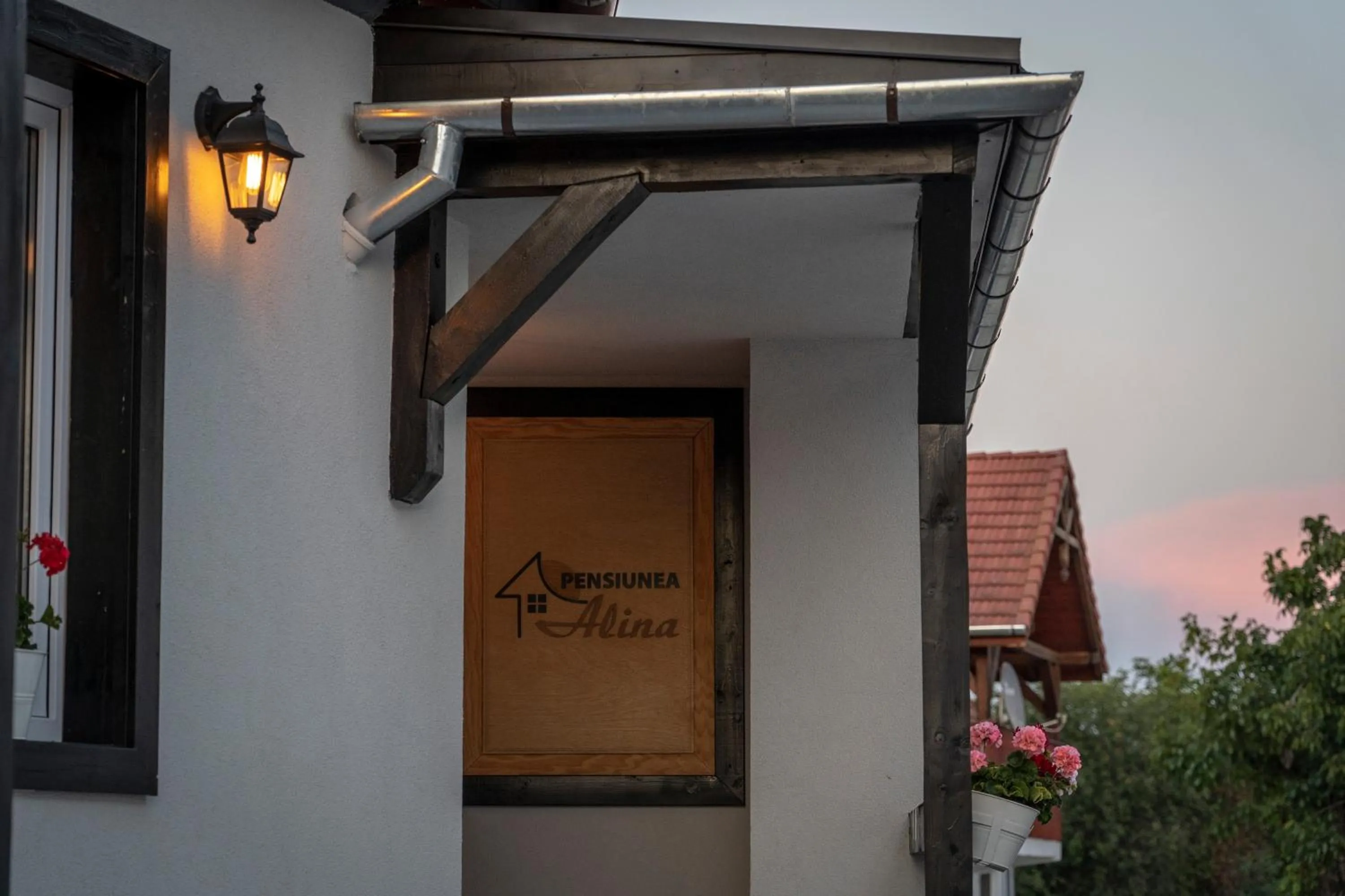 Facade/entrance in Pensiunea Alina "Adults Only"