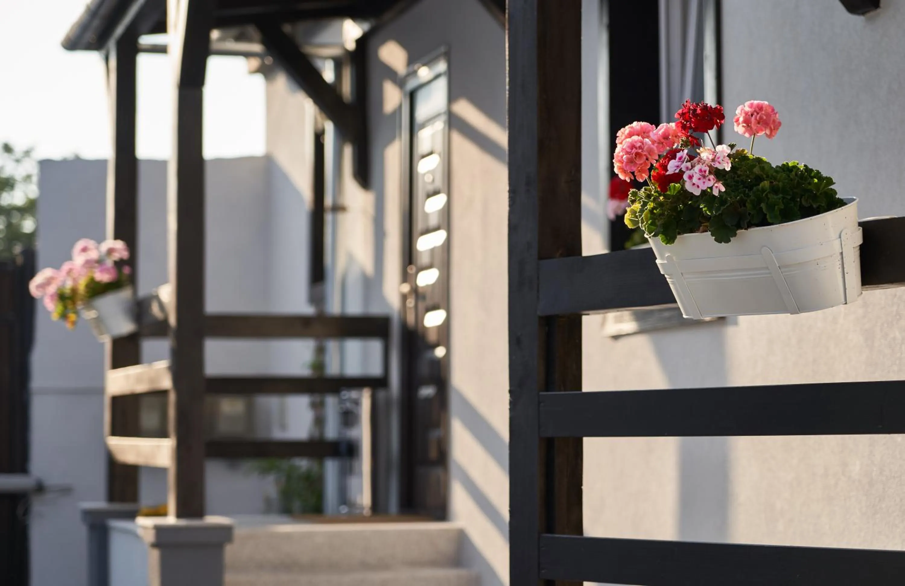 Facade/entrance in Pensiunea Alina "Adults Only"