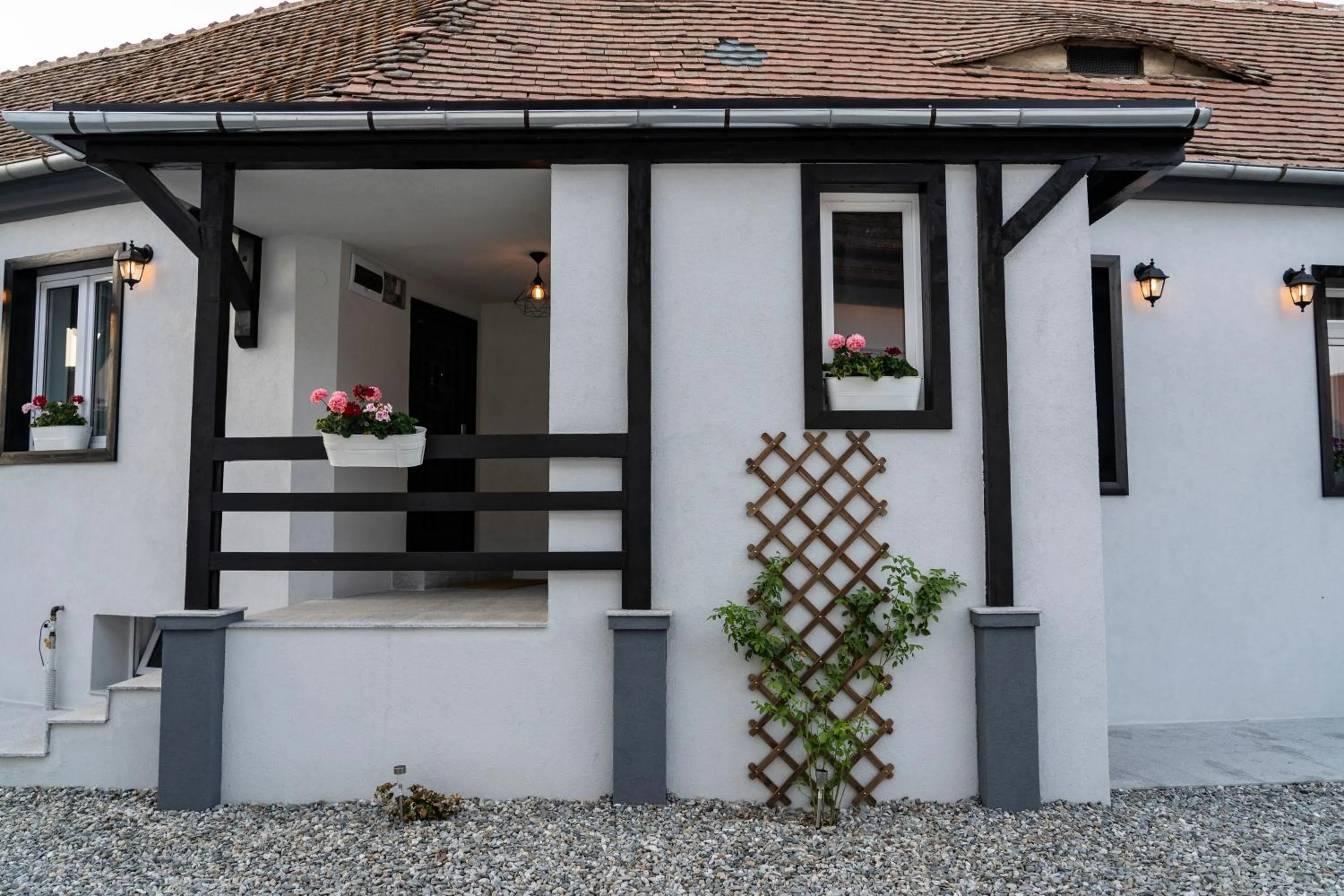 Facade/entrance in Pensiunea Alina "Adults Only"