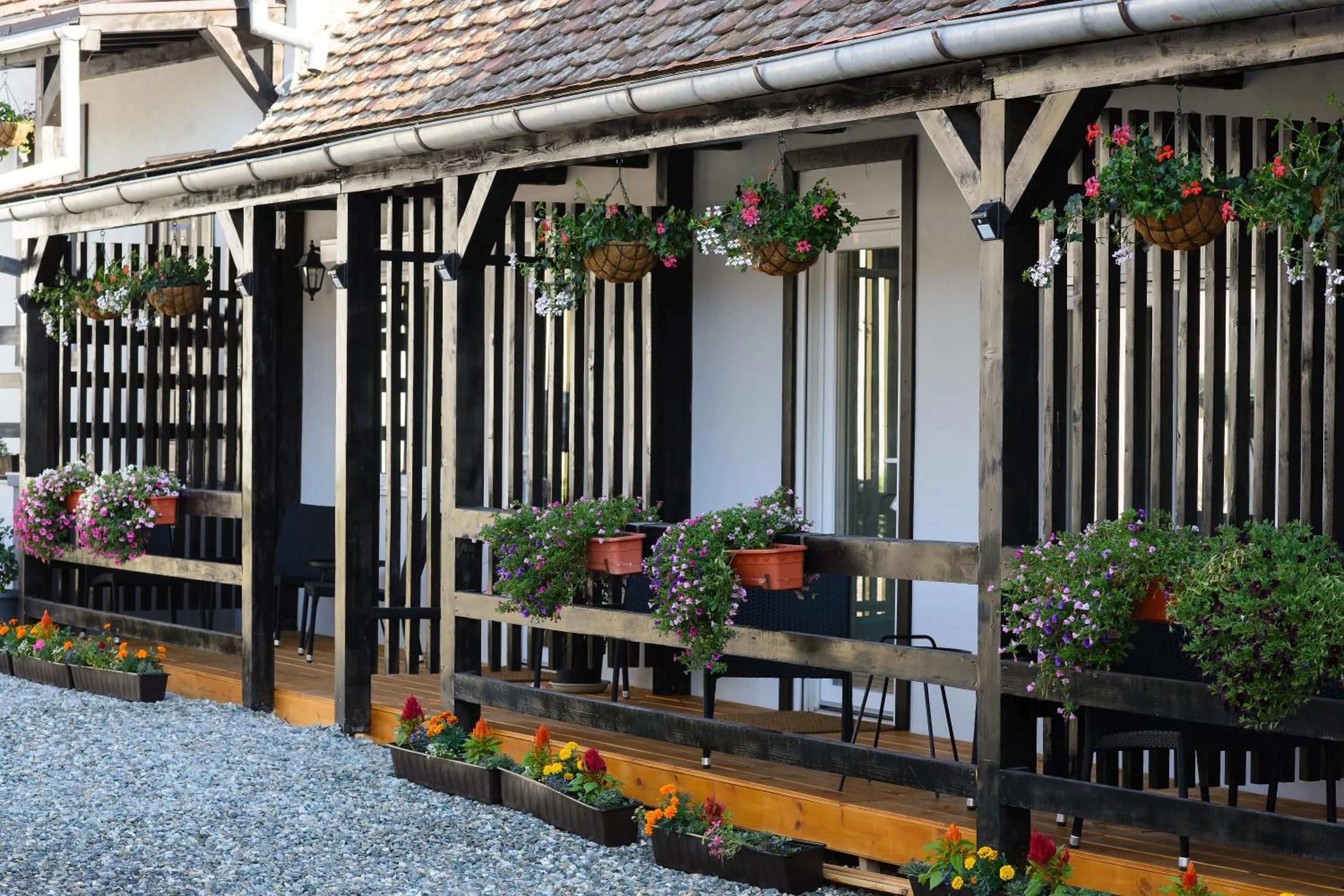 Property building in Pensiunea Alina "Adults Only"