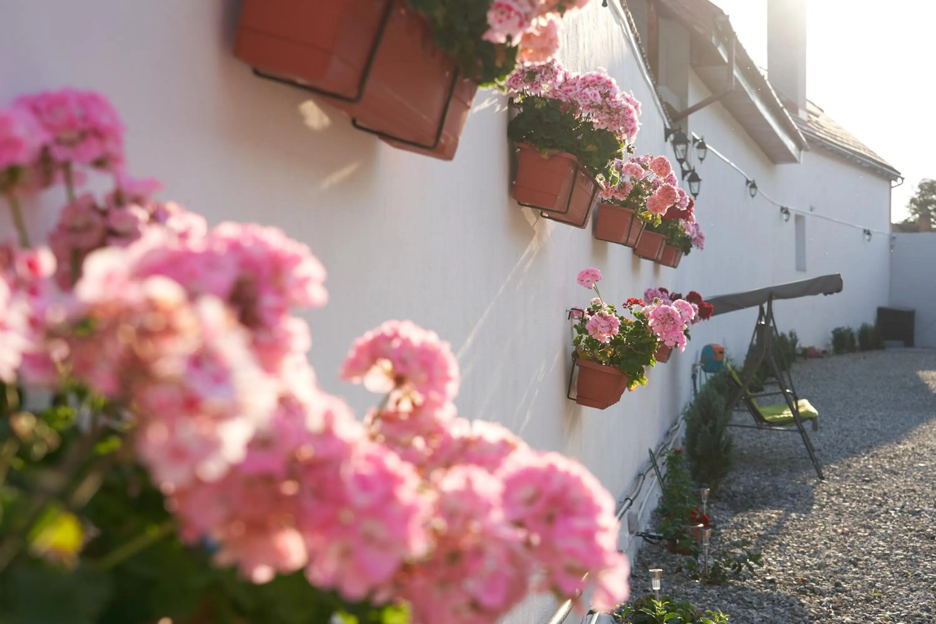 Decorative detail in Pensiunea Alina "Adults Only"