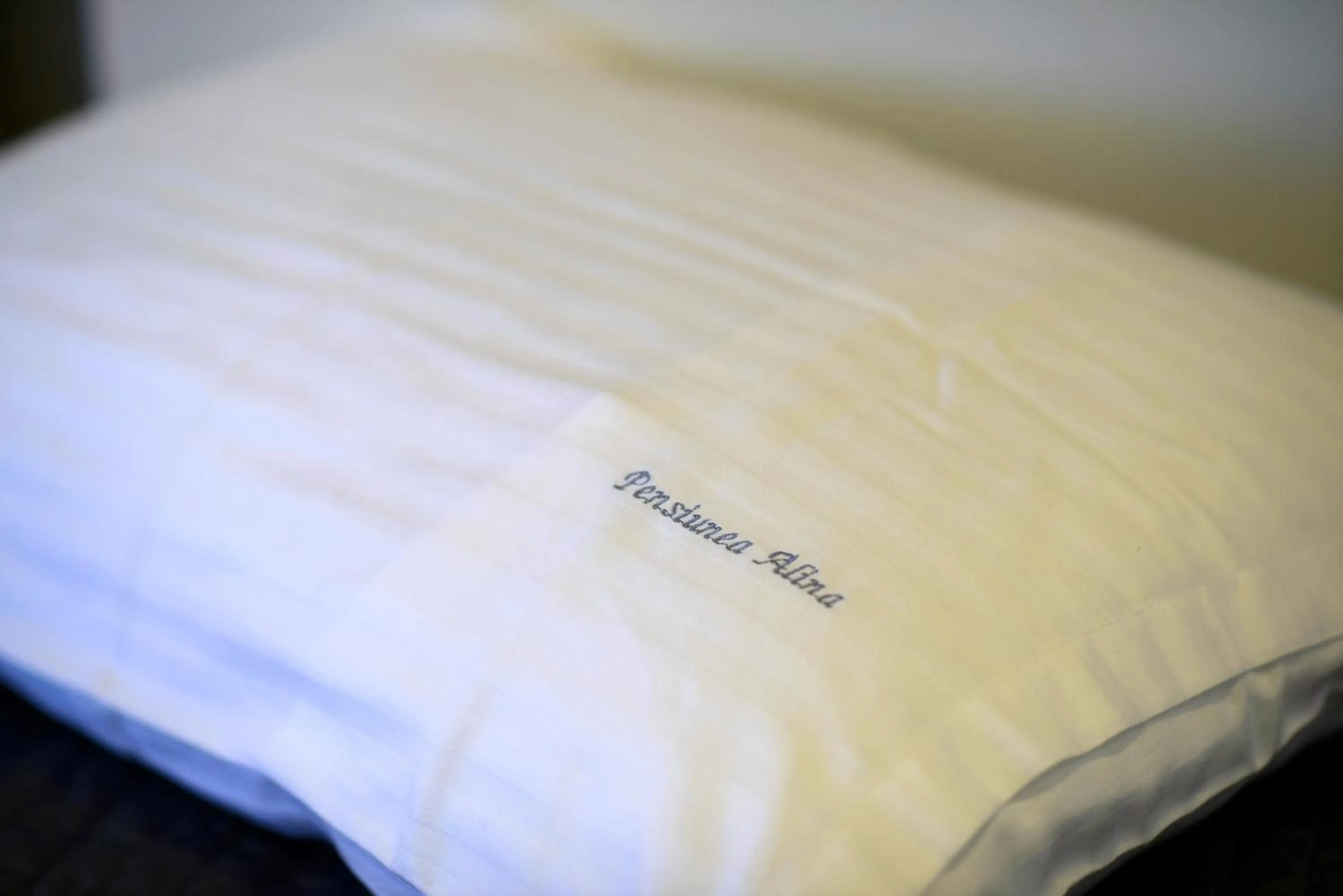 Property logo or sign, Bed in Pensiunea Alina "Adults Only"