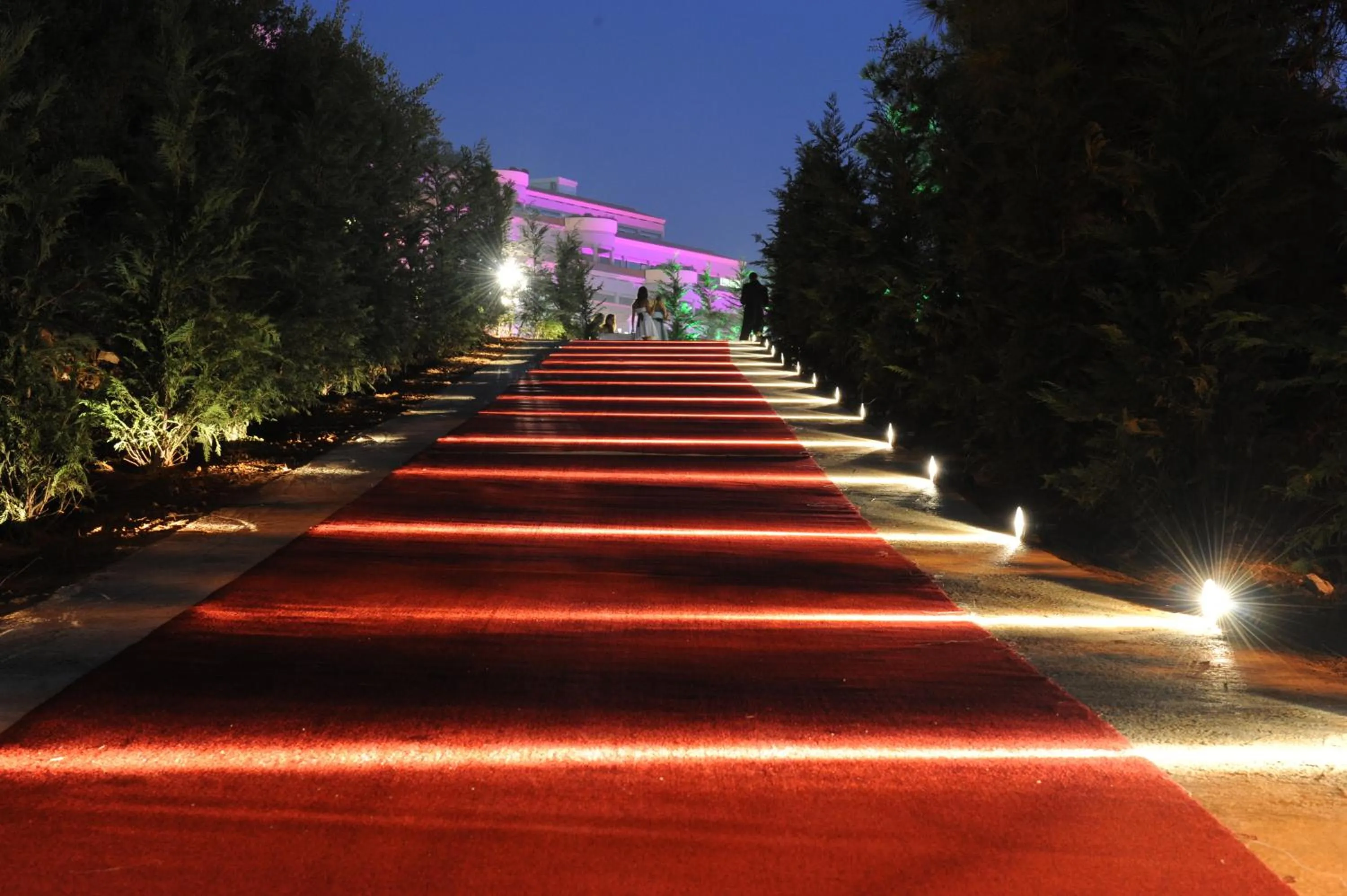 Night in Monteverde Hotel