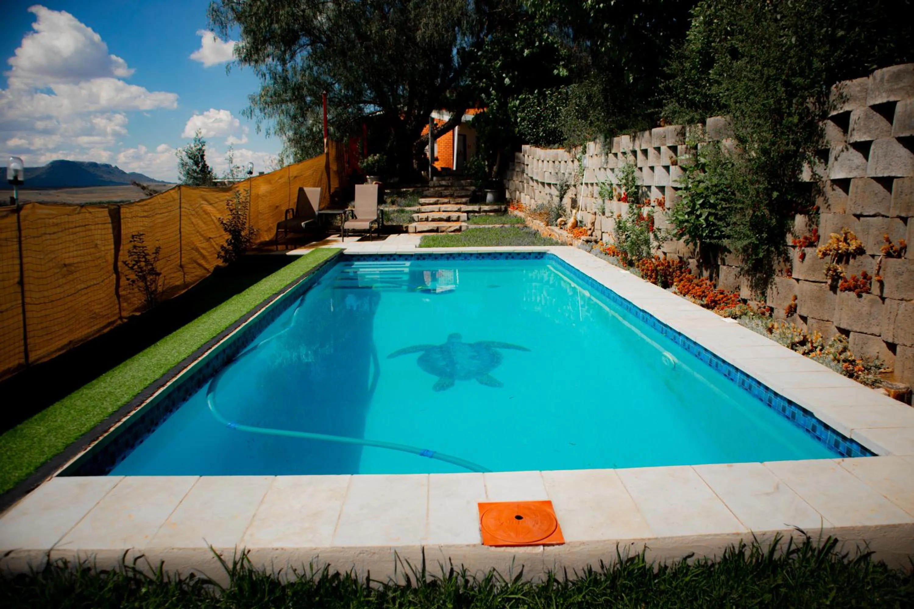 Swimming pool in Noble Hearts Bed & Breakfast