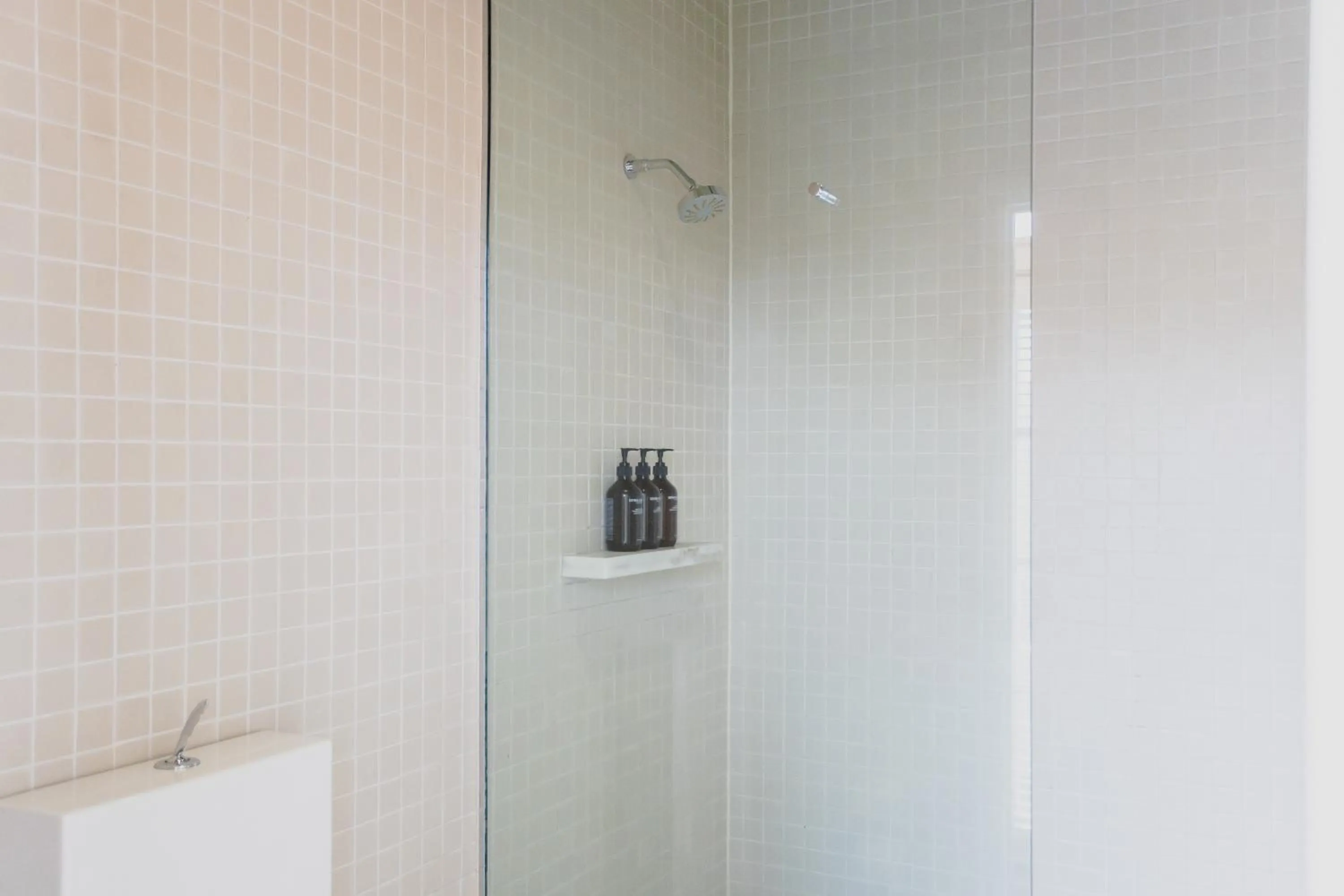 Shower in The Prince