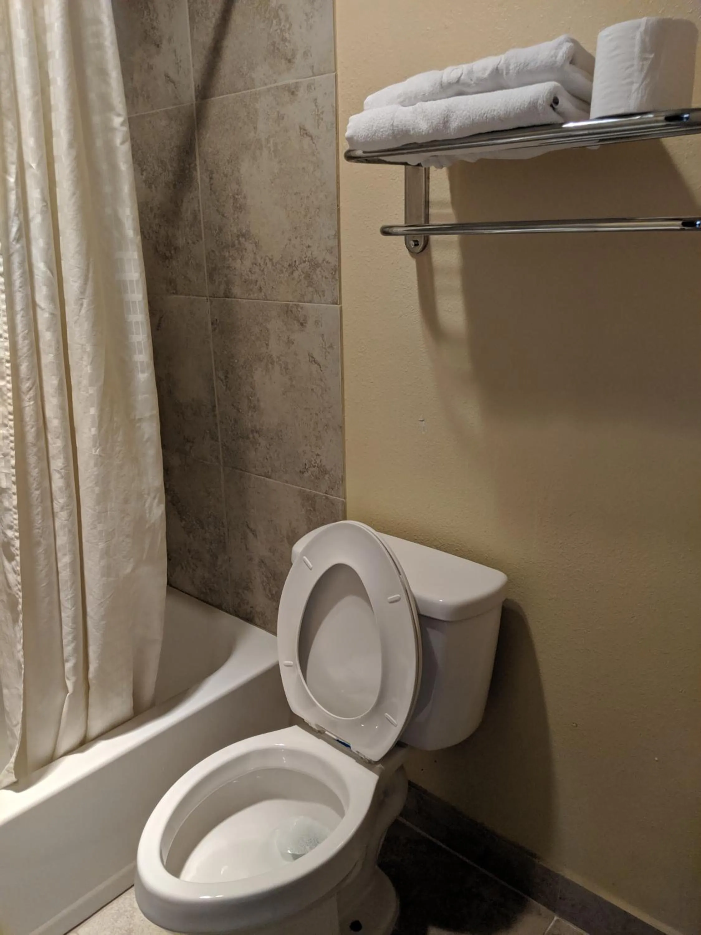 Toilet in Executive Inn Woodward