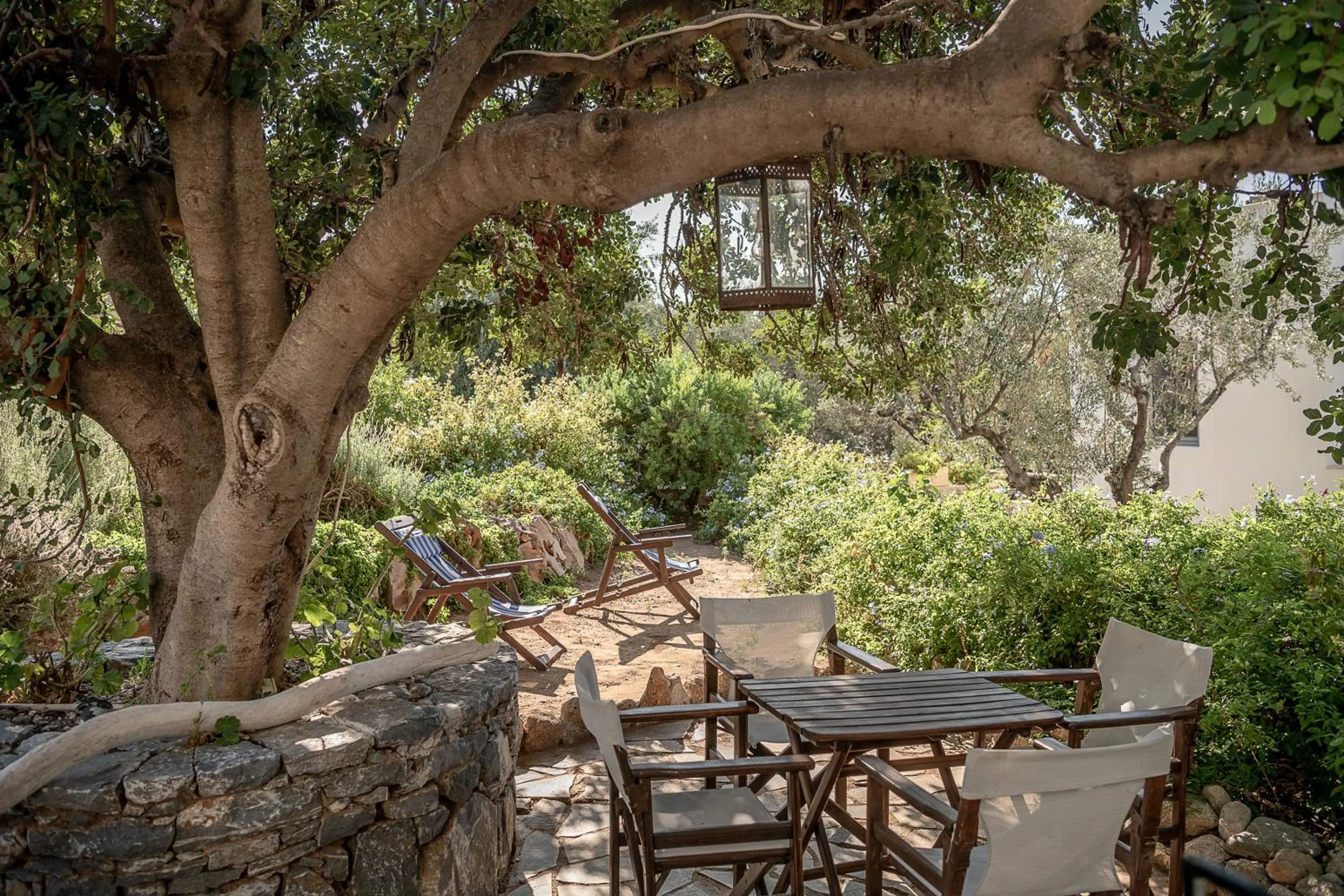 Garden in Bellevalia Hydra - Formerly Four Seasons Hydra