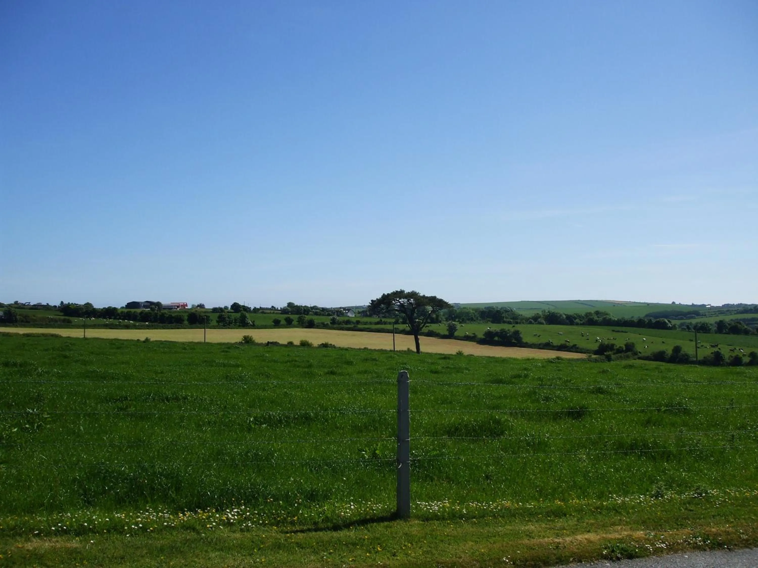Natural landscape in The Brown Hen Guest Accommodation