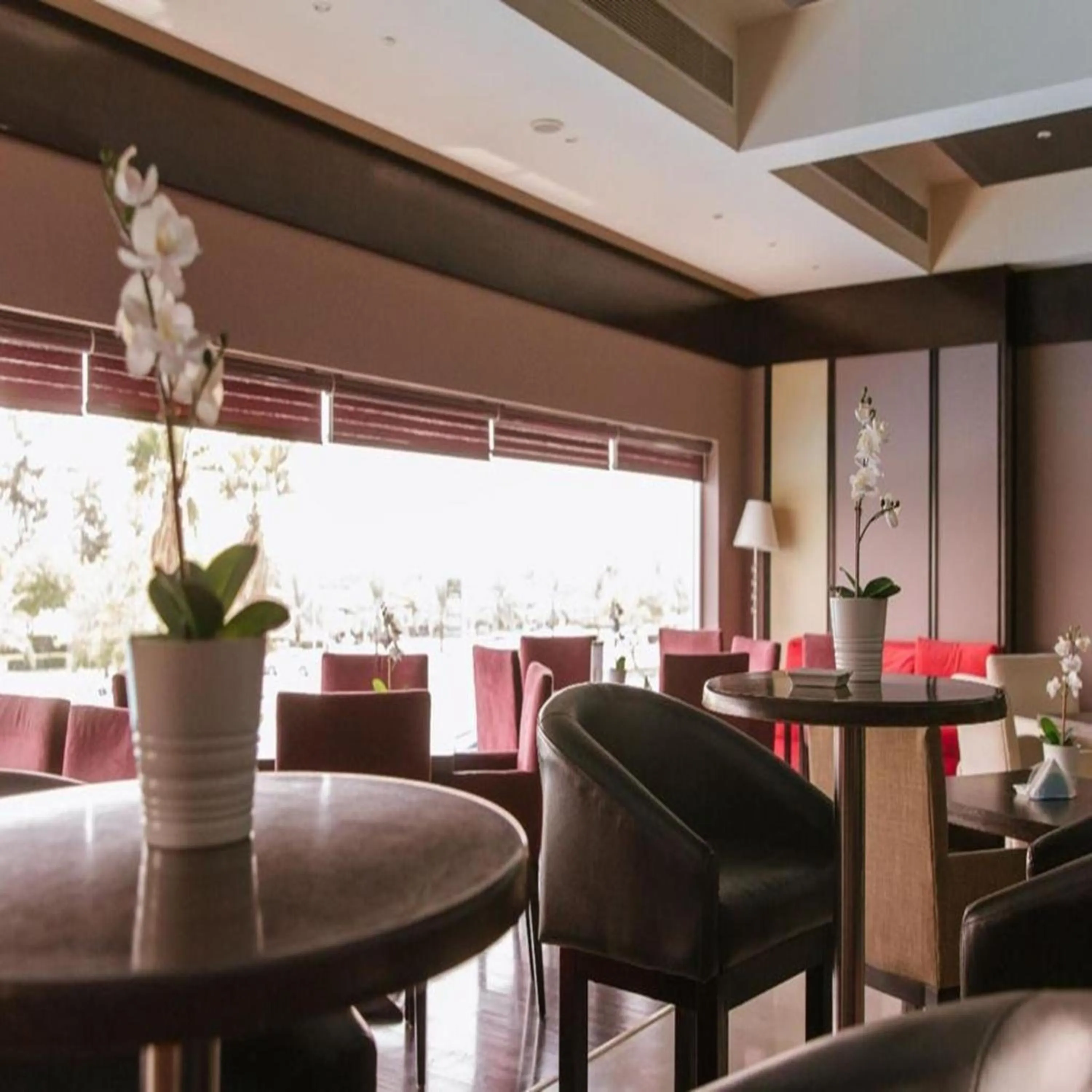 Restaurant/places to eat in Sunday Mangrove Corniche Hotel, Ras Al Khaimah