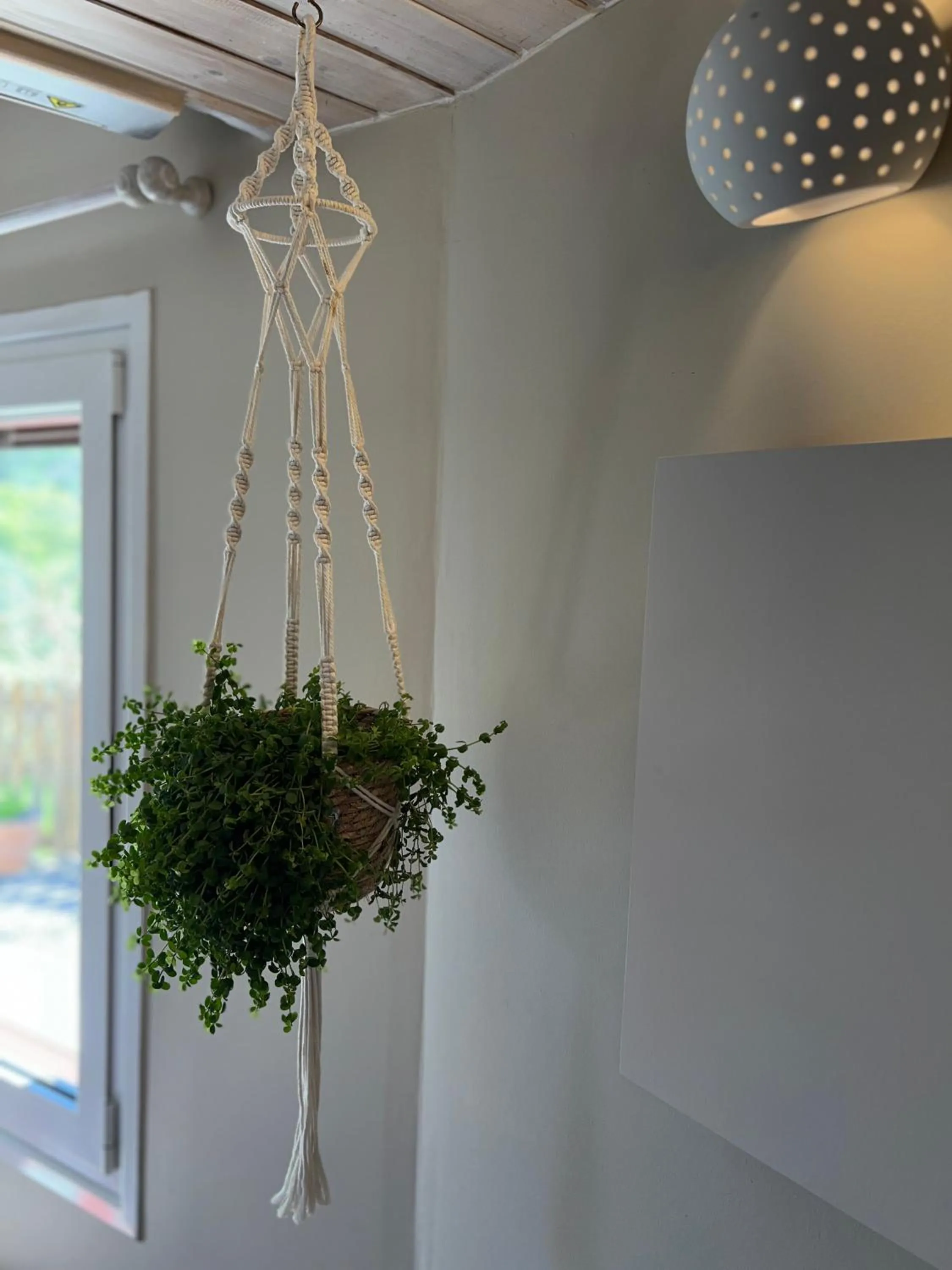 Decorative detail in Kapella Apartments