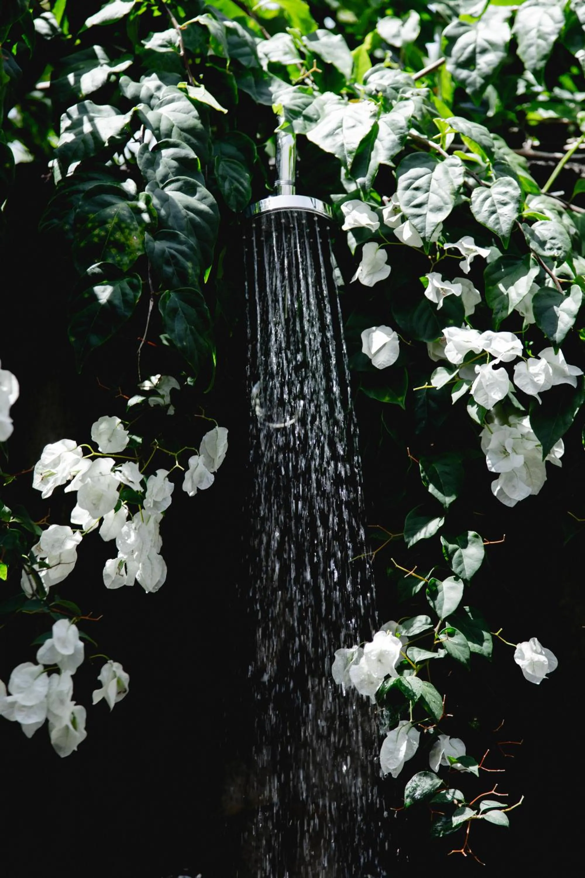 Property building in REVĪVŌ Wellness Resort Nusa Dua Bali