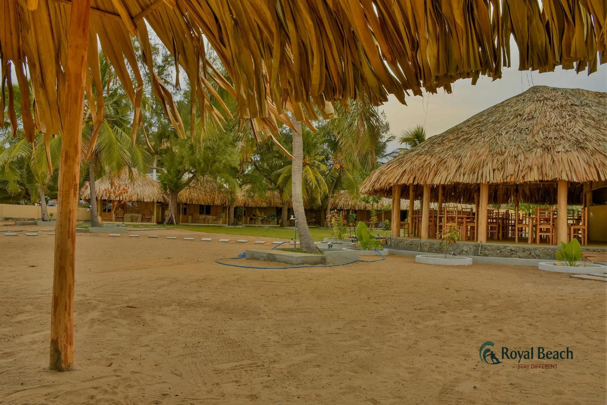 Garden in Royal Beach