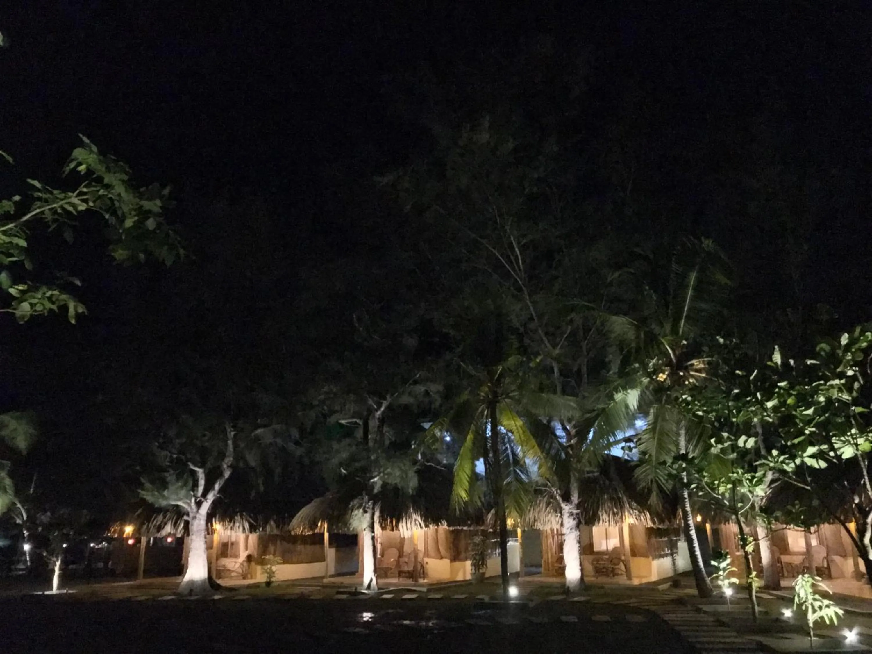 View (from property/room) in Royal Beach