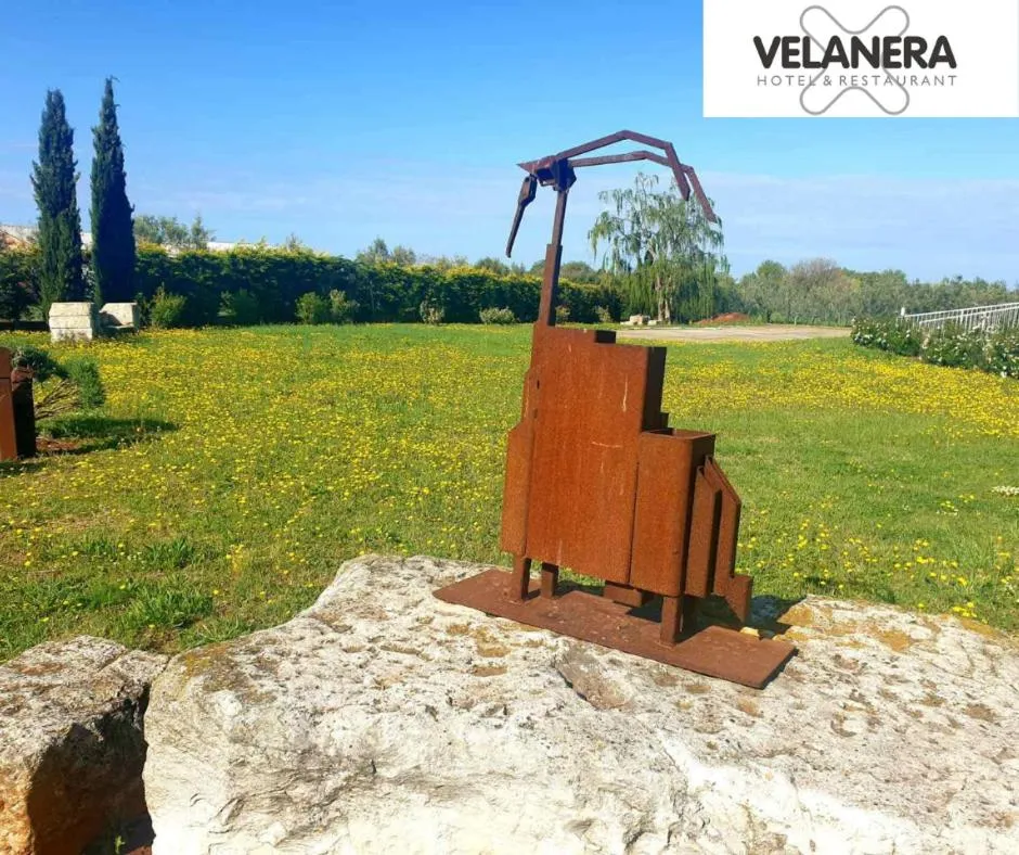 Garden in VELANERA Hotel & Restaurant