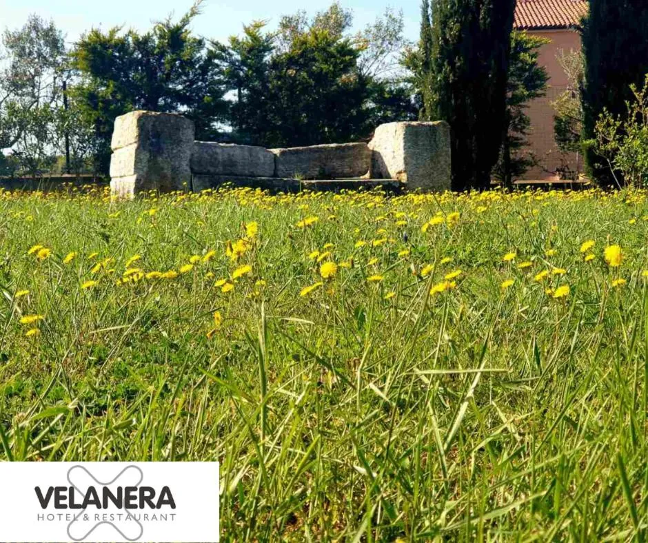 Garden in VELANERA Hotel & Restaurant