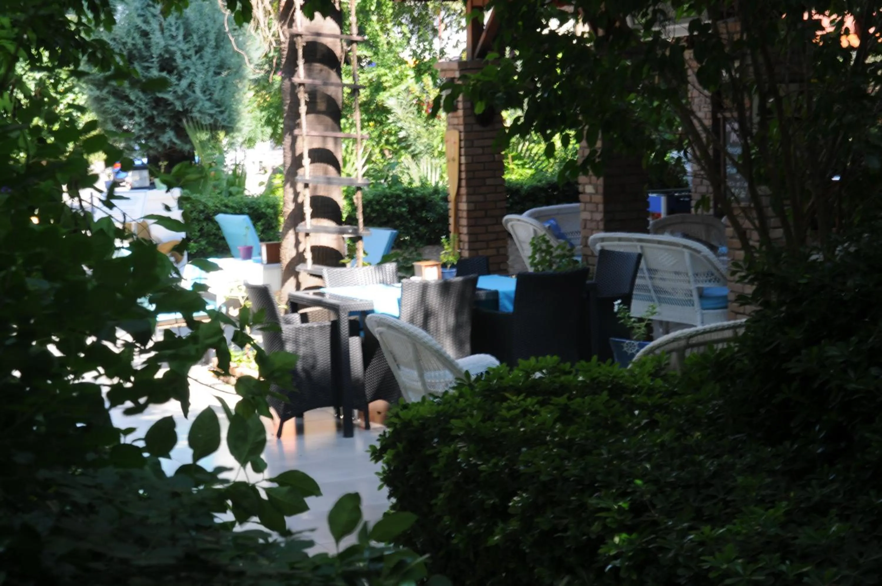 Garden in Navy Hotel