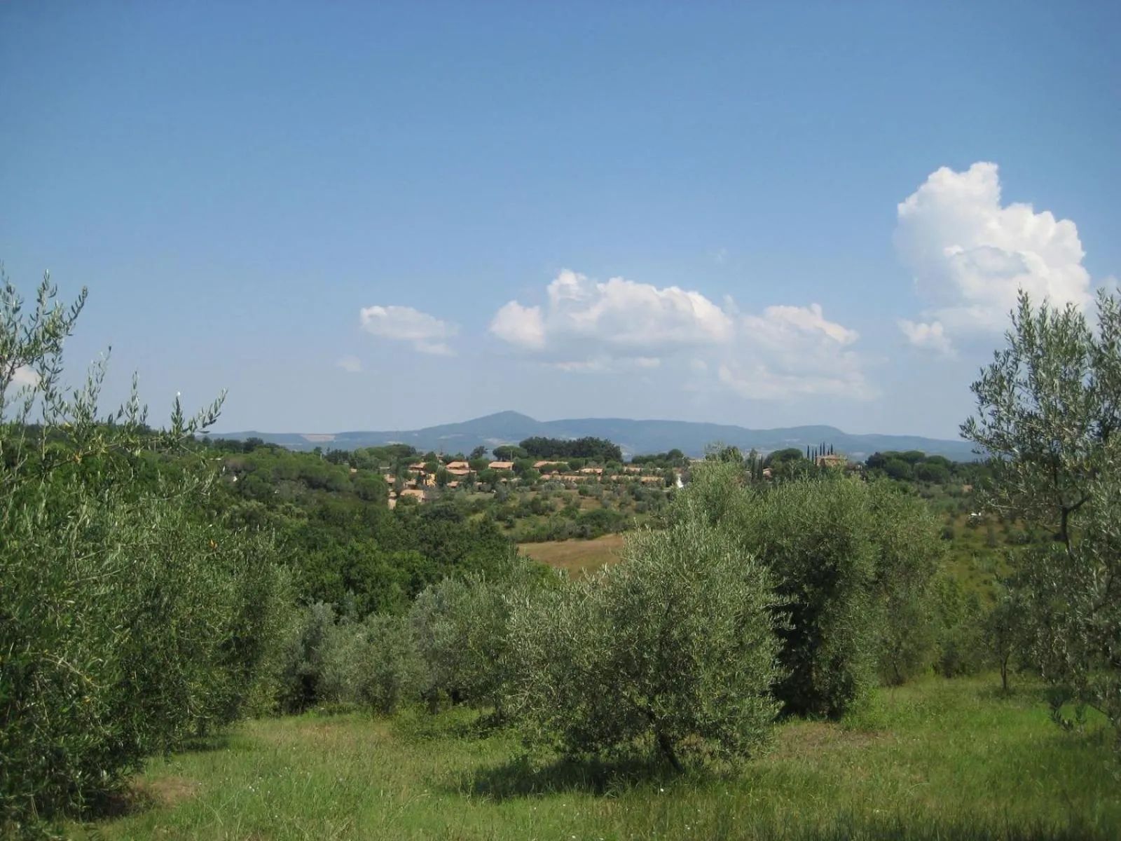 Garden in Il Borgo Centro Vacanze
