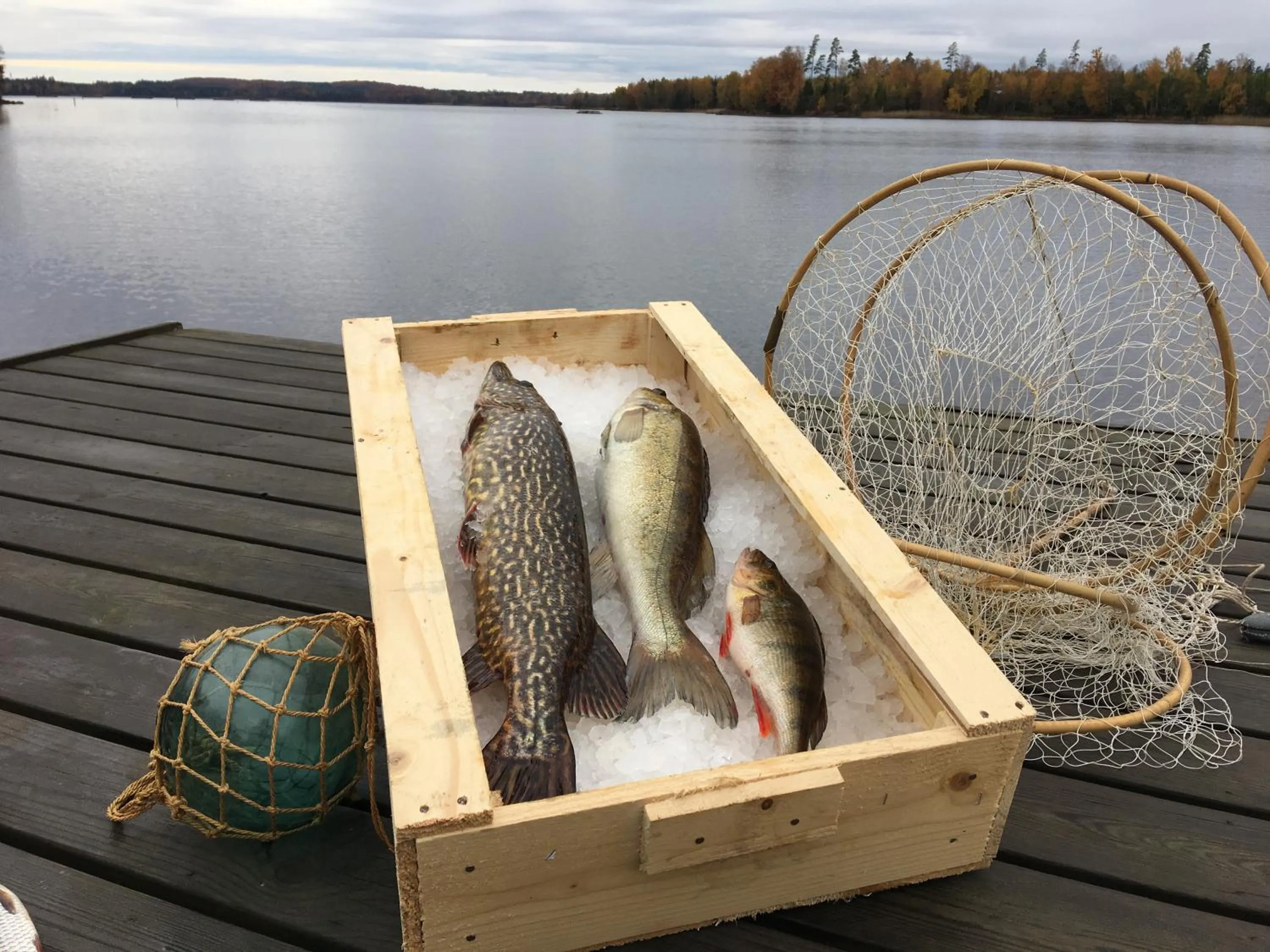 Restaurant/places to eat in Tiraholms hotell