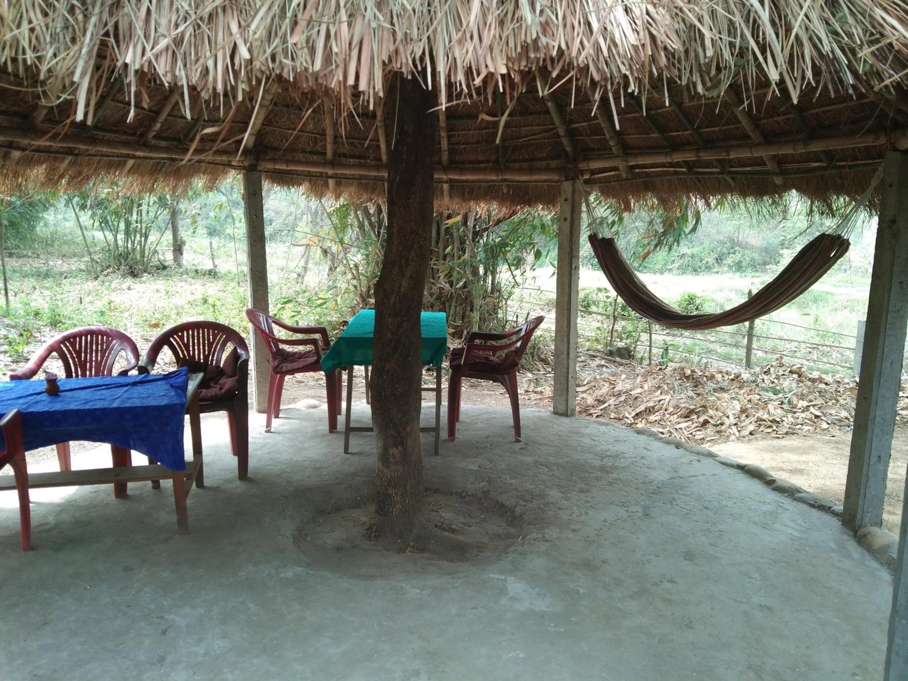 Patio in Chital lodge