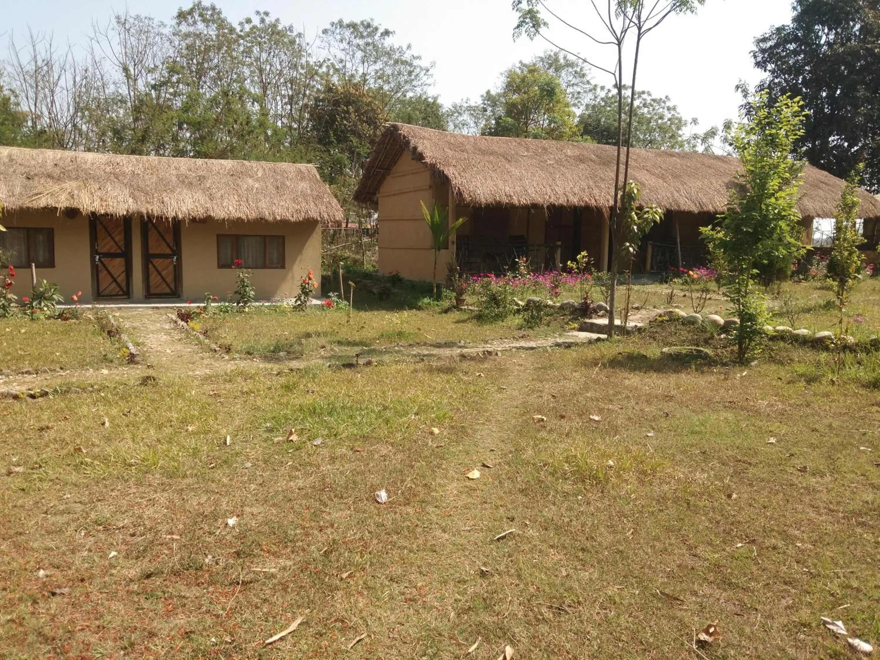 Chital lodge