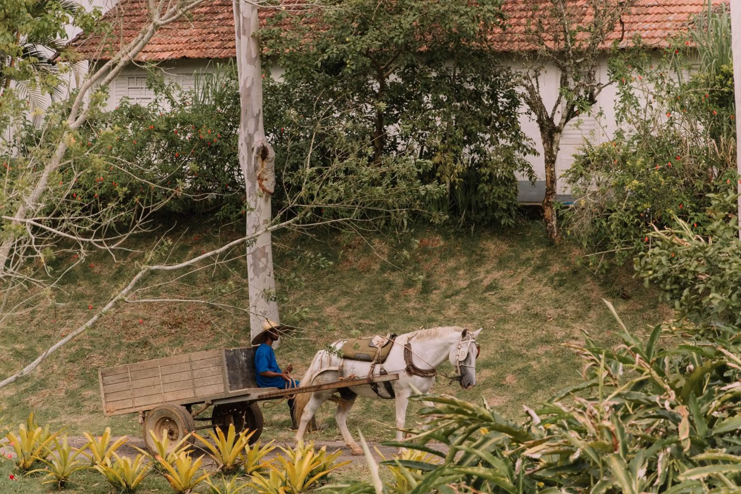 Spring in Resort Fazenda 3 Pinheiros