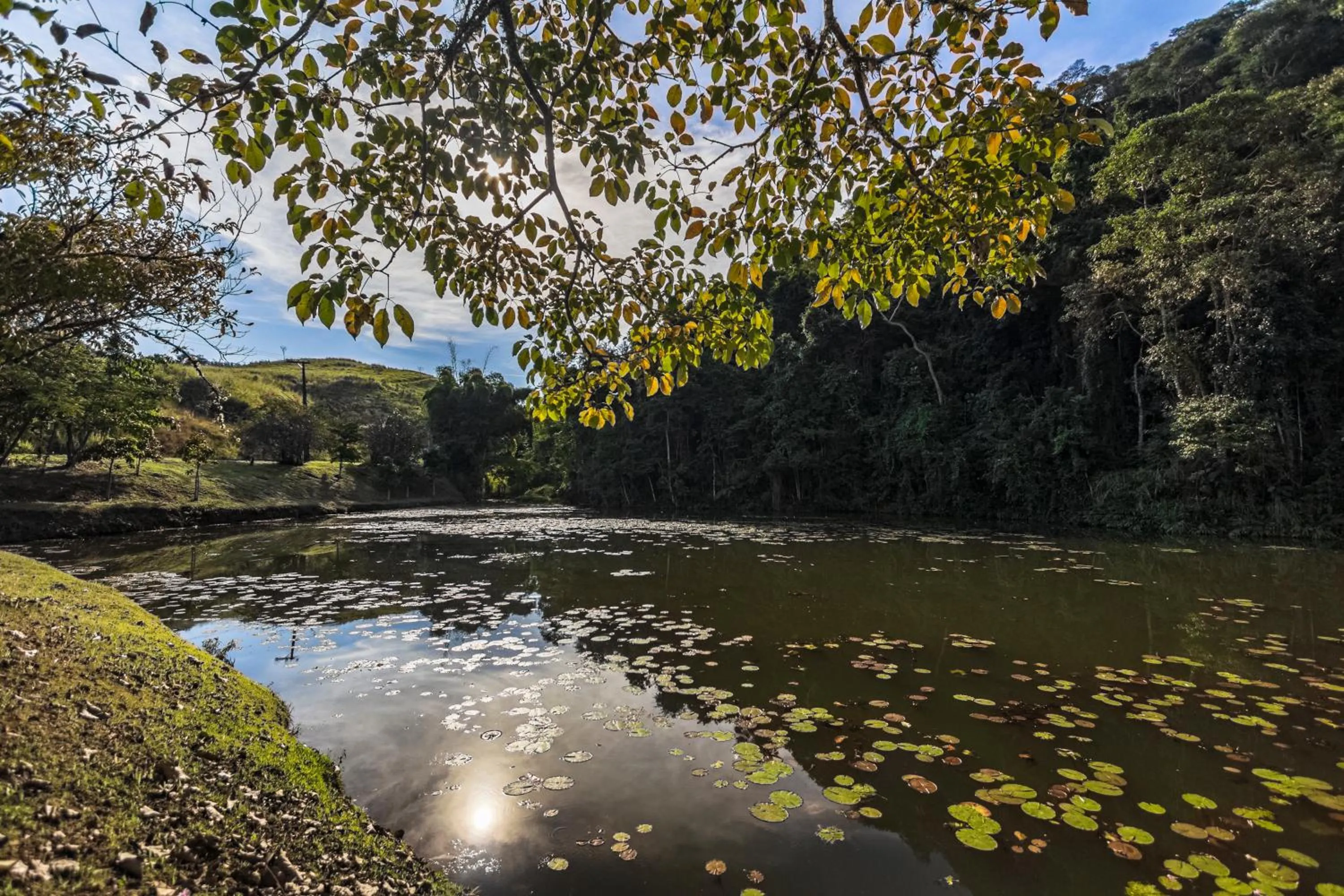 Natural landscape in Resort Fazenda 3 Pinheiros