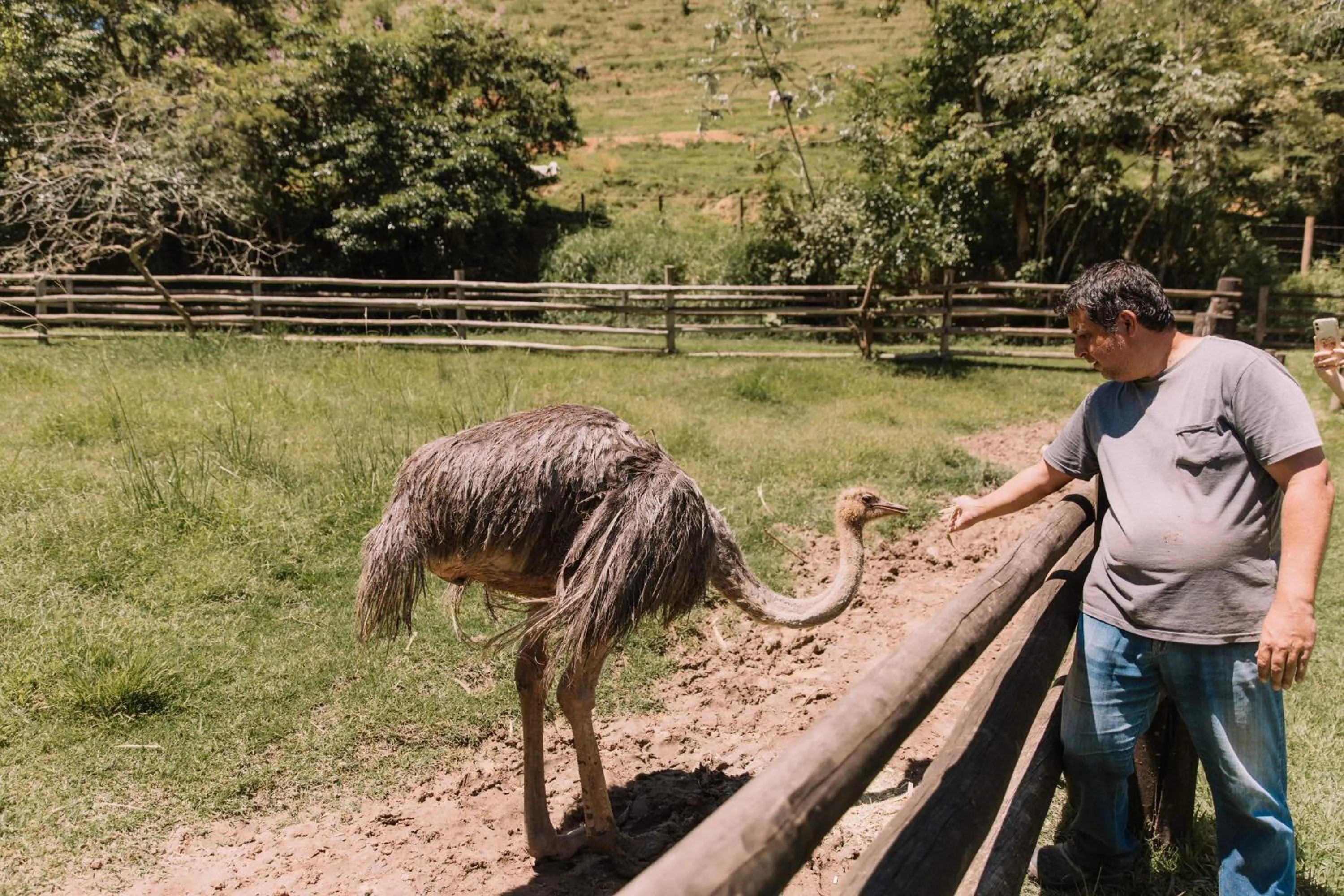 Day in Resort Fazenda 3 Pinheiros