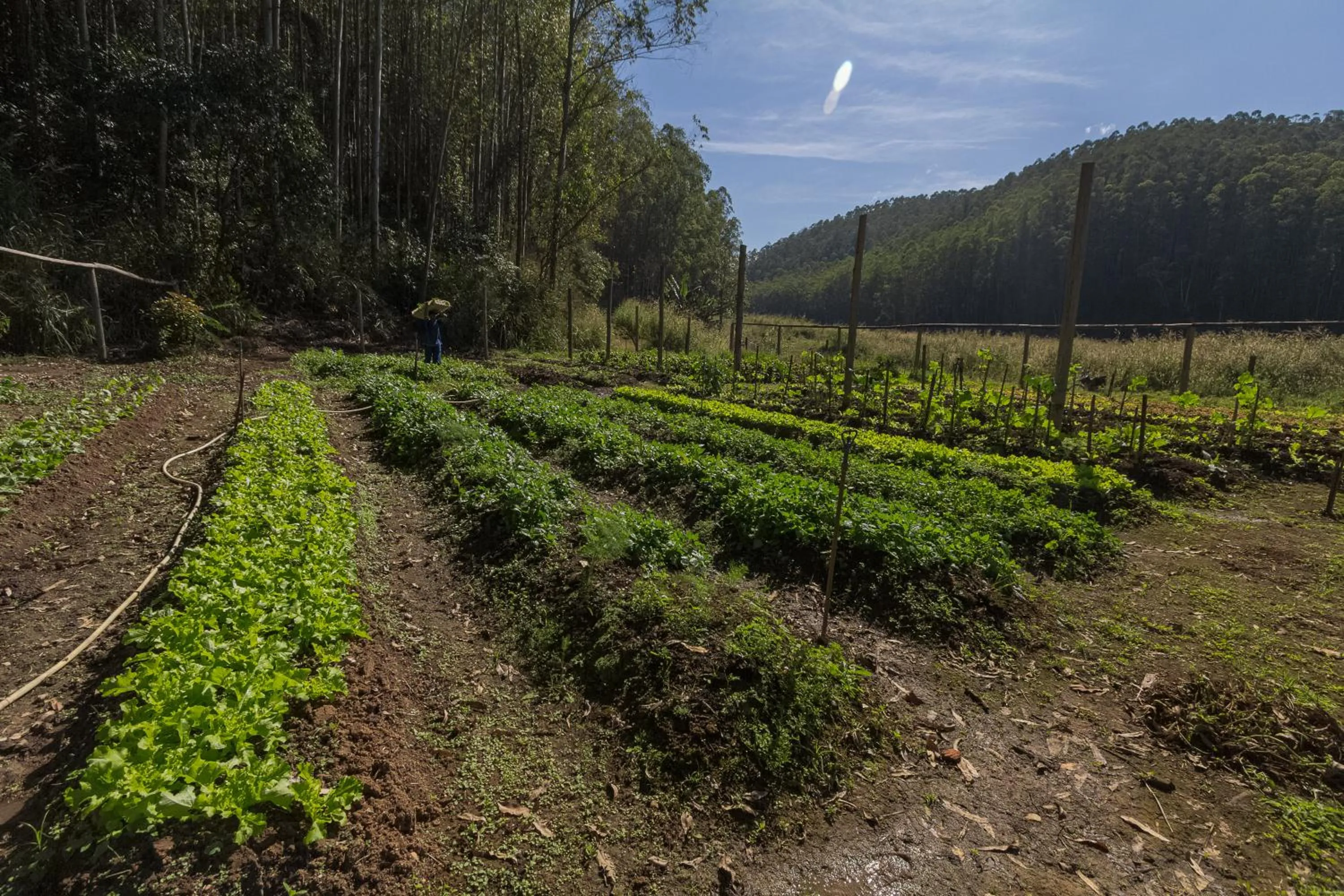 Natural landscape in Resort Fazenda 3 Pinheiros