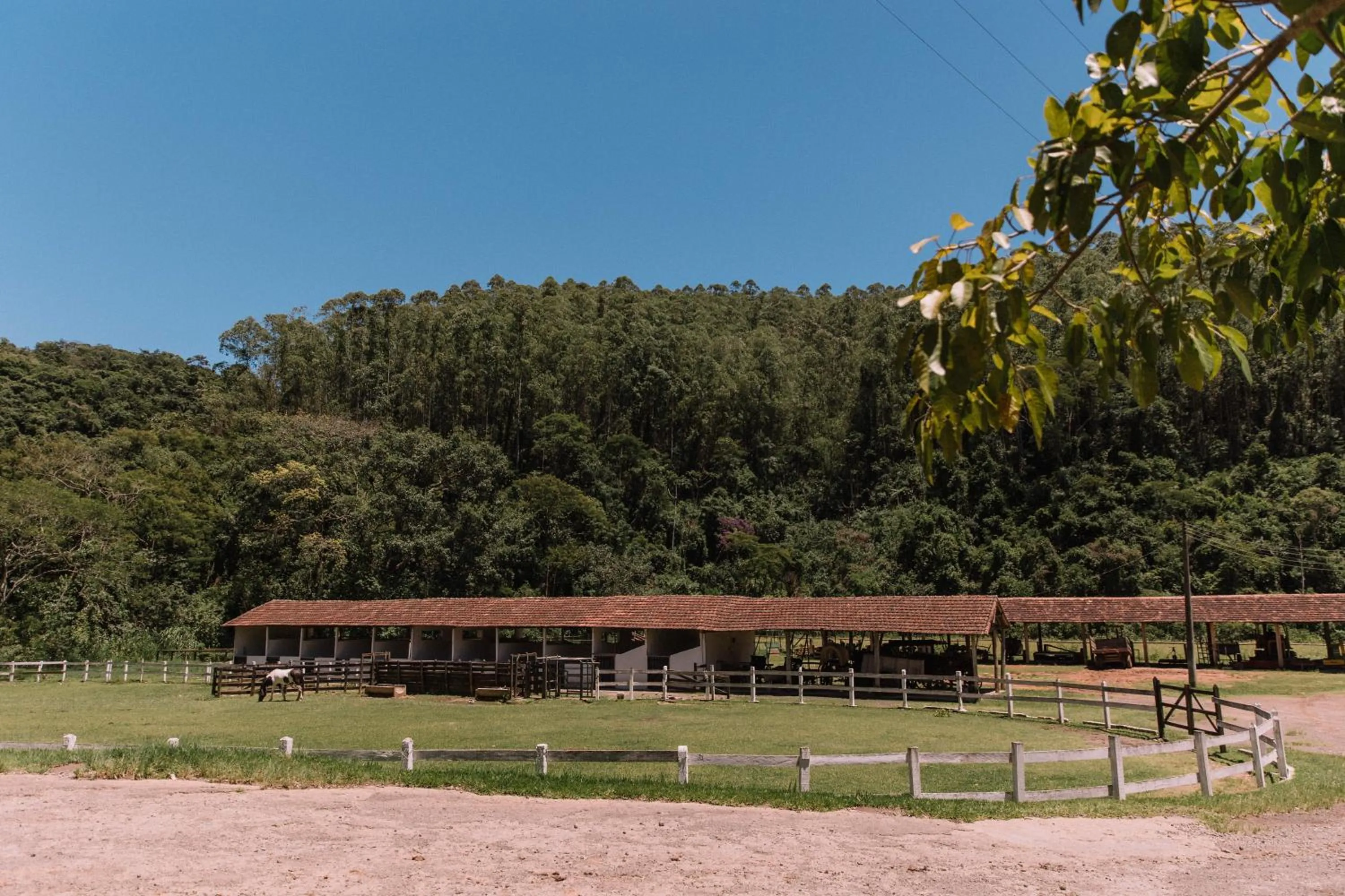 Spring in Resort Fazenda 3 Pinheiros