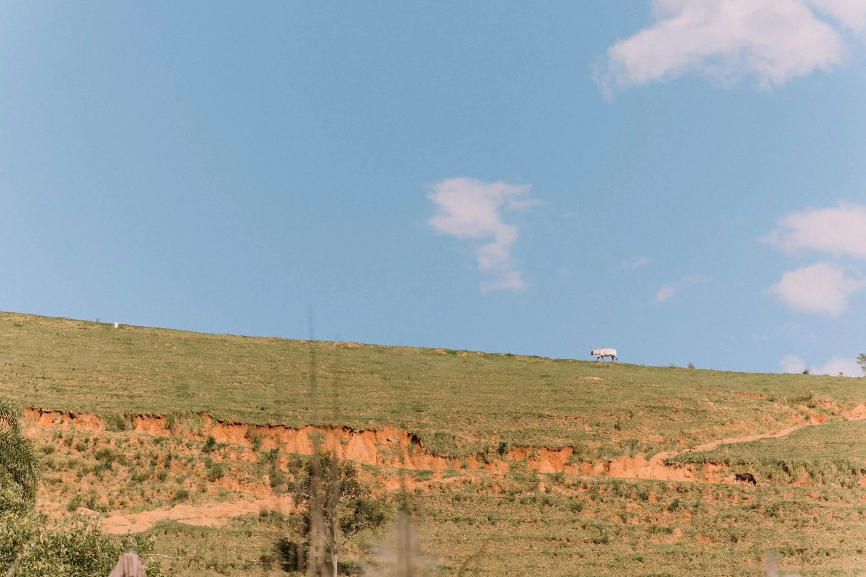 Spring in Resort Fazenda 3 Pinheiros