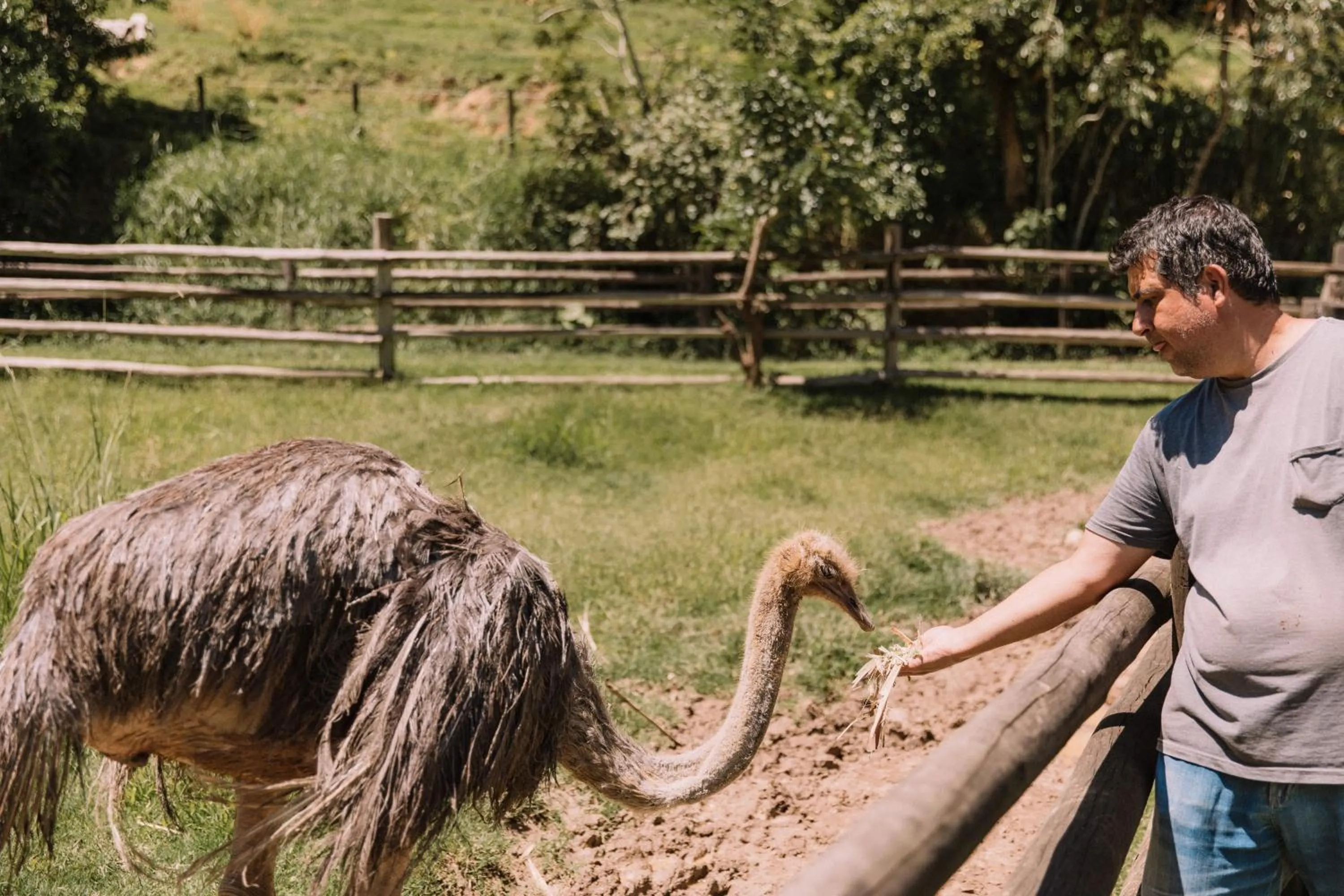 Spring in Resort Fazenda 3 Pinheiros