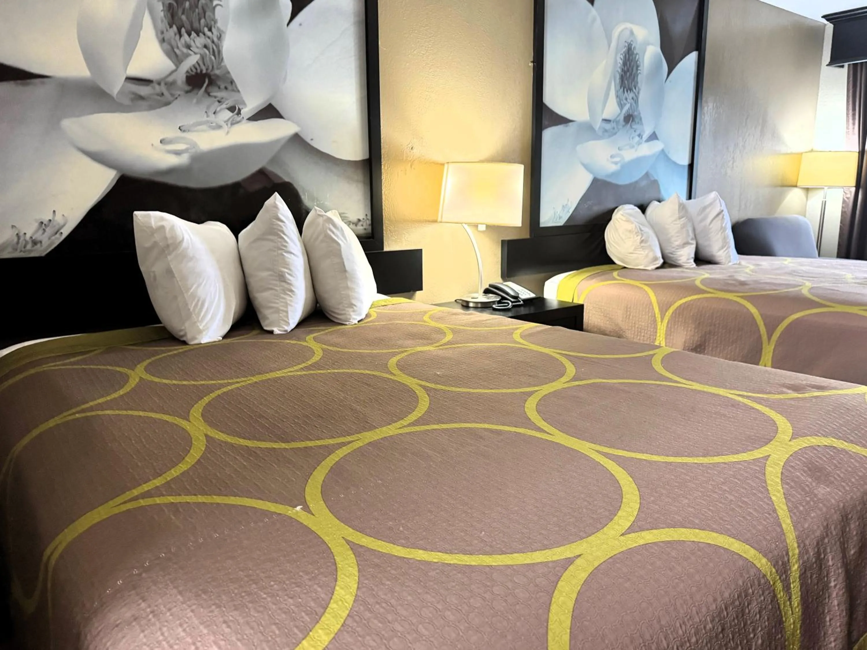 Bed in Super 8 by Wyndham Tupelo Airport