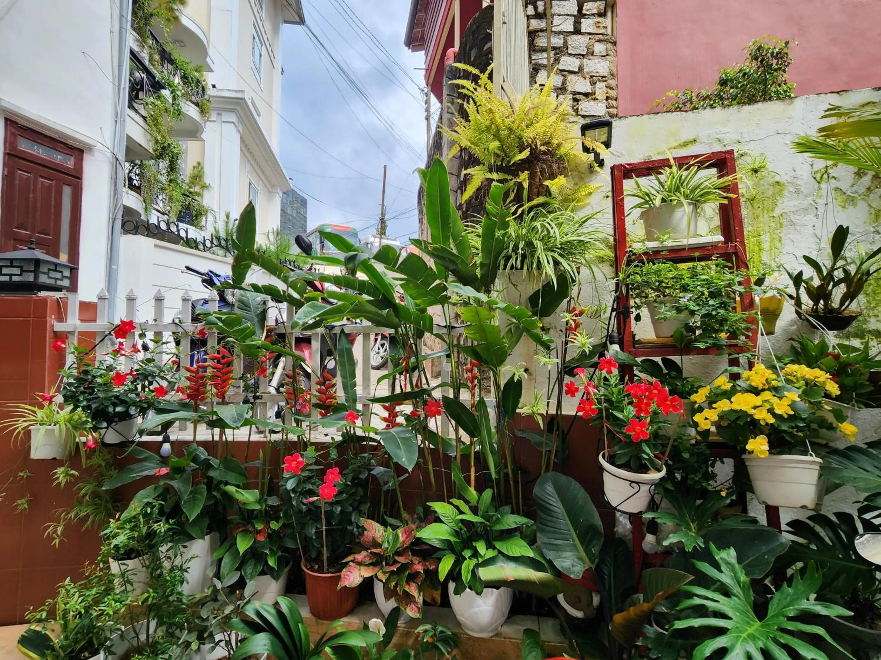 Bình Đào Hotel - Khách sạn ngay trung tâm giá rẻ