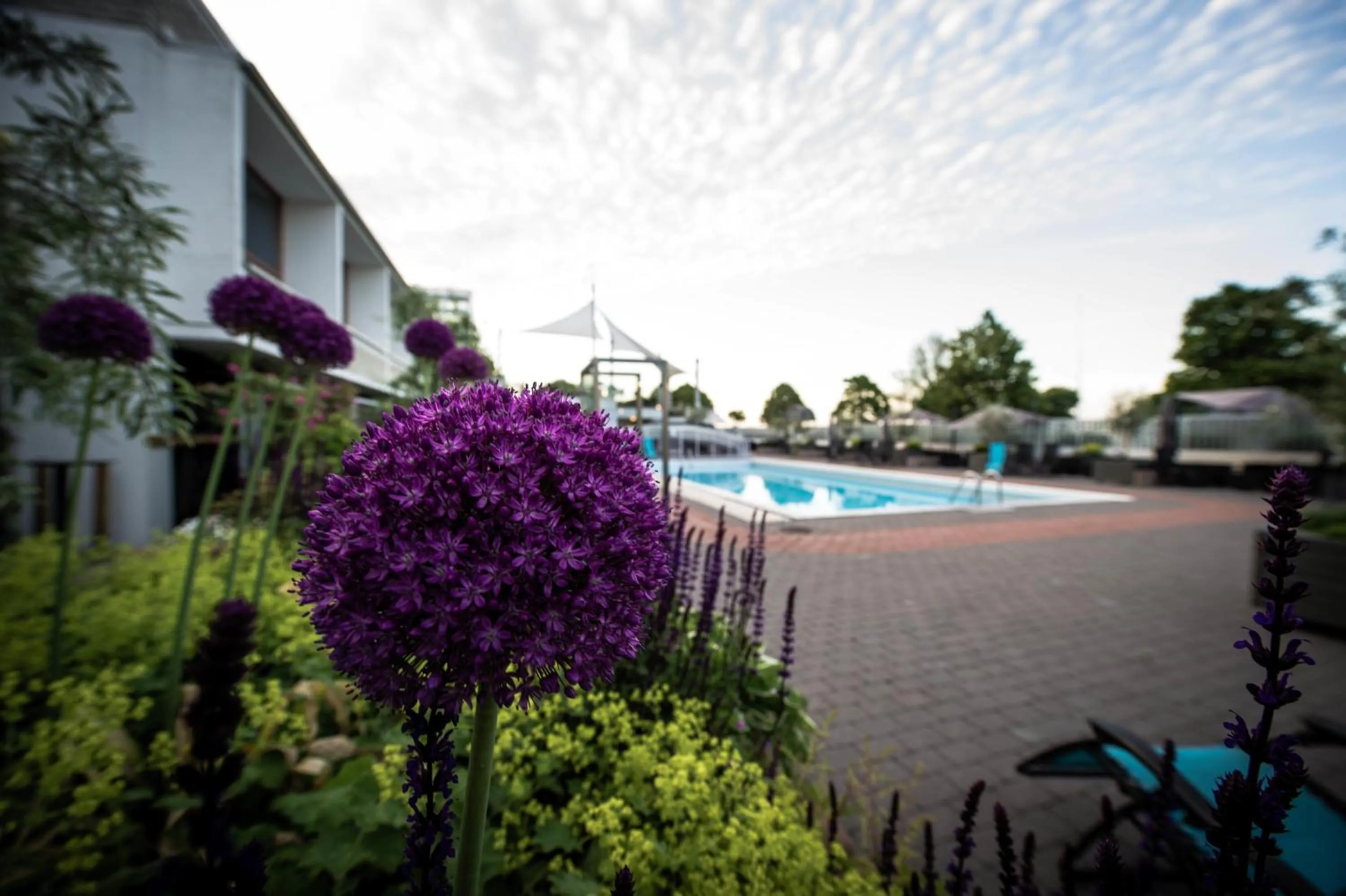 Garden in Hotel Arkipelag