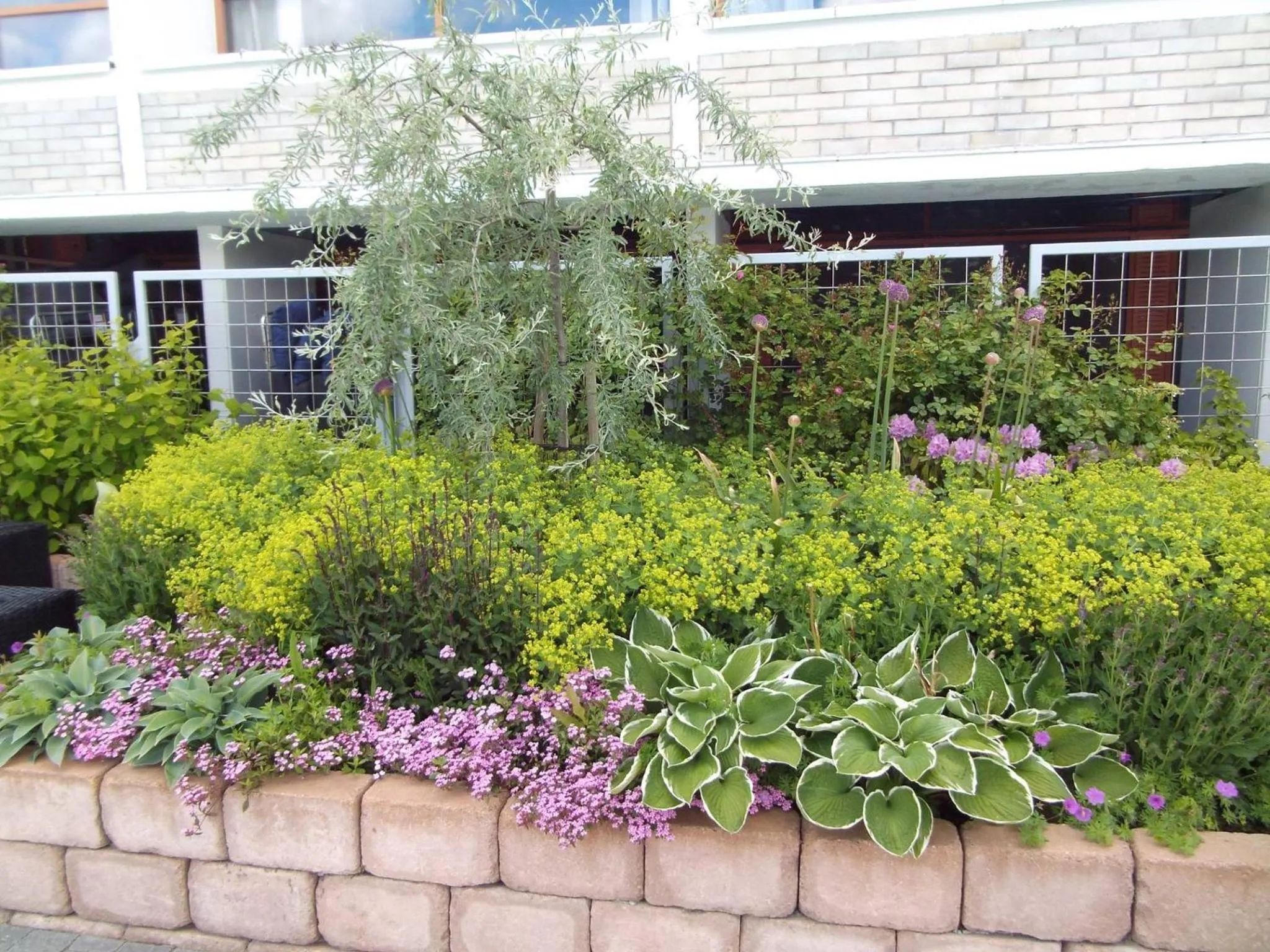 Garden in Hotel Arkipelag