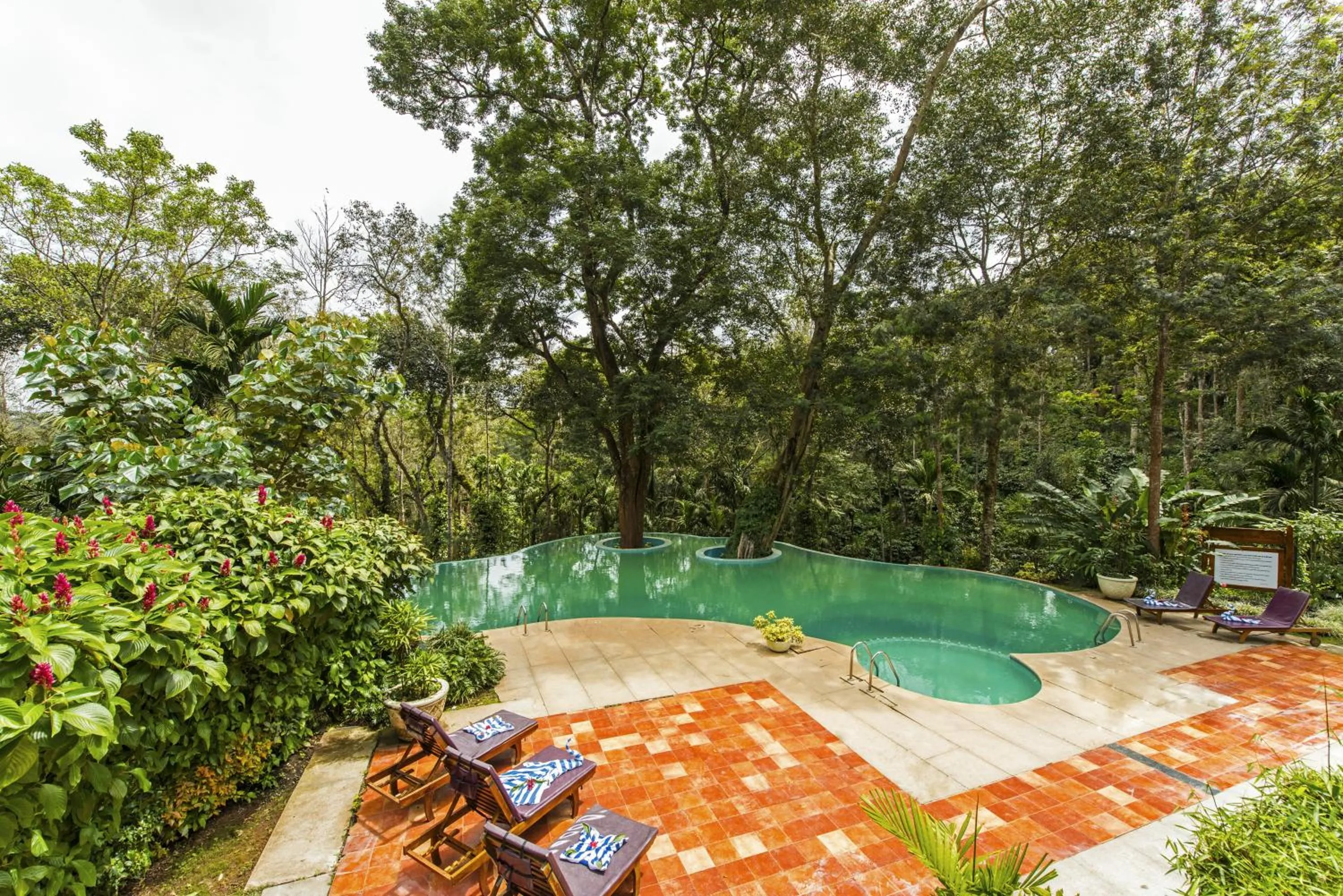 Swimming pool in The Windflower Resort & Spa, Coorg
