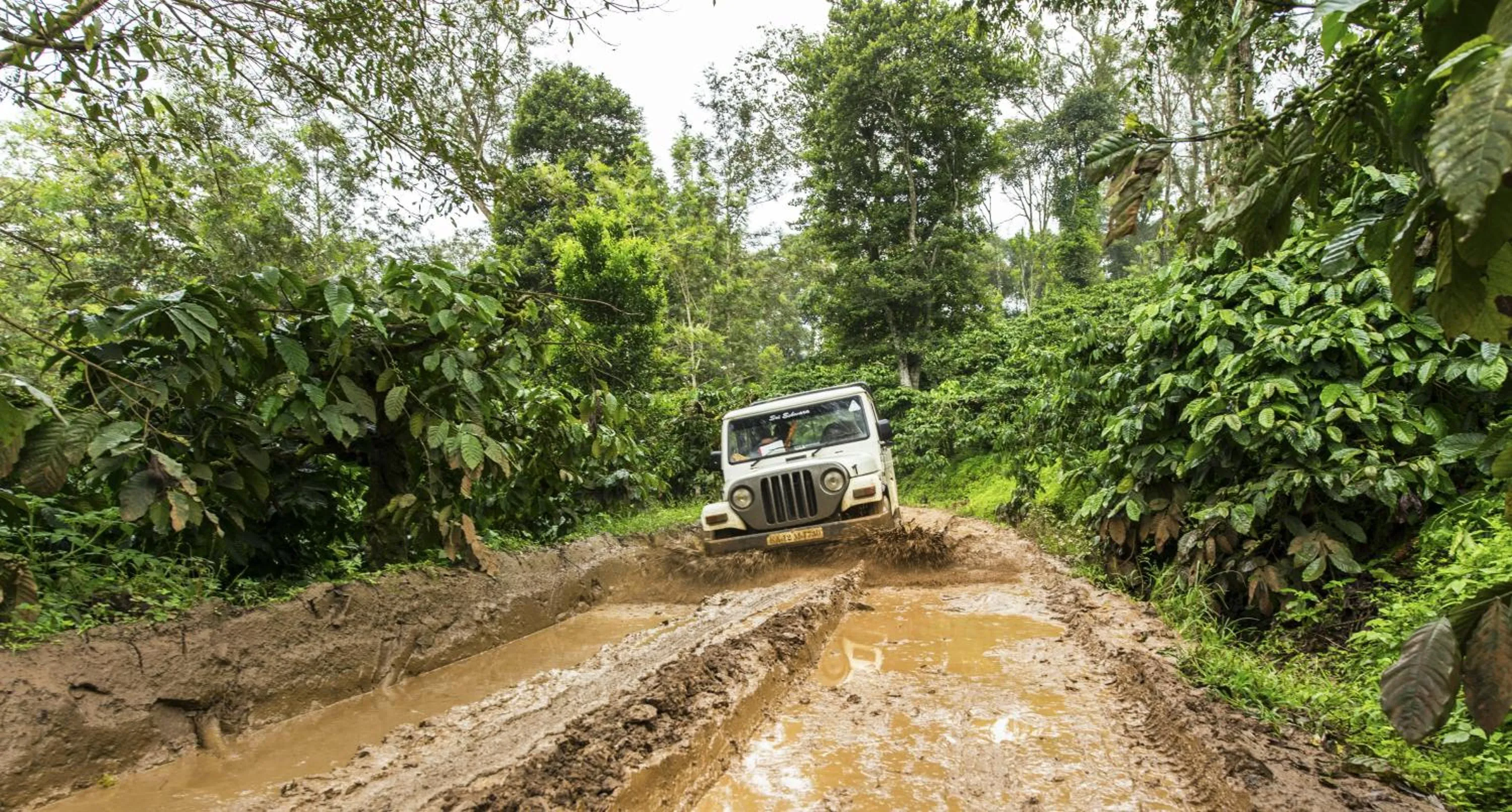 Entertainment in The Windflower Resort & Spa, Coorg
