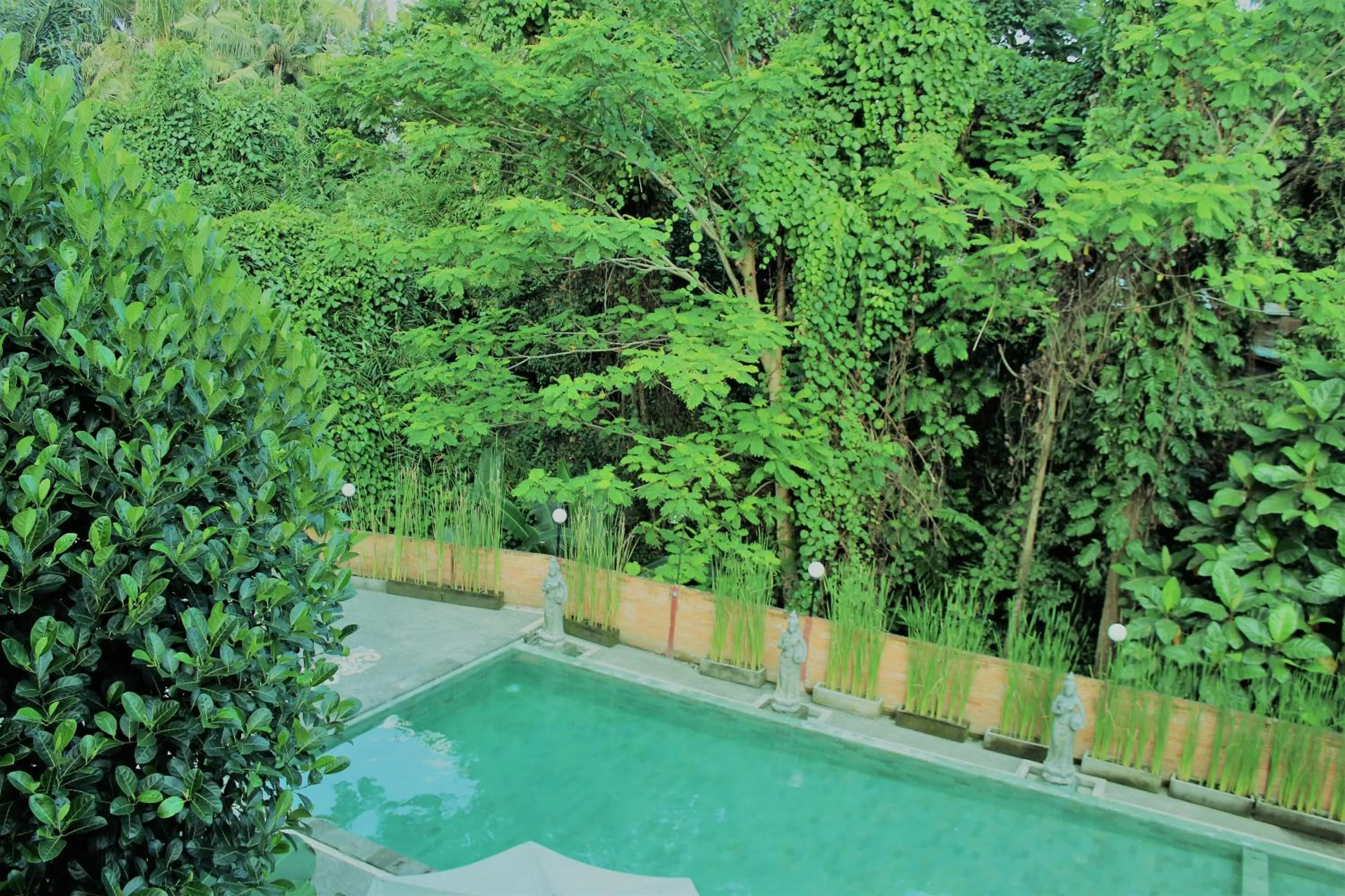 Pool view in Adi Jaya Cottages Ubud Suites by EPS - CHSE Certified