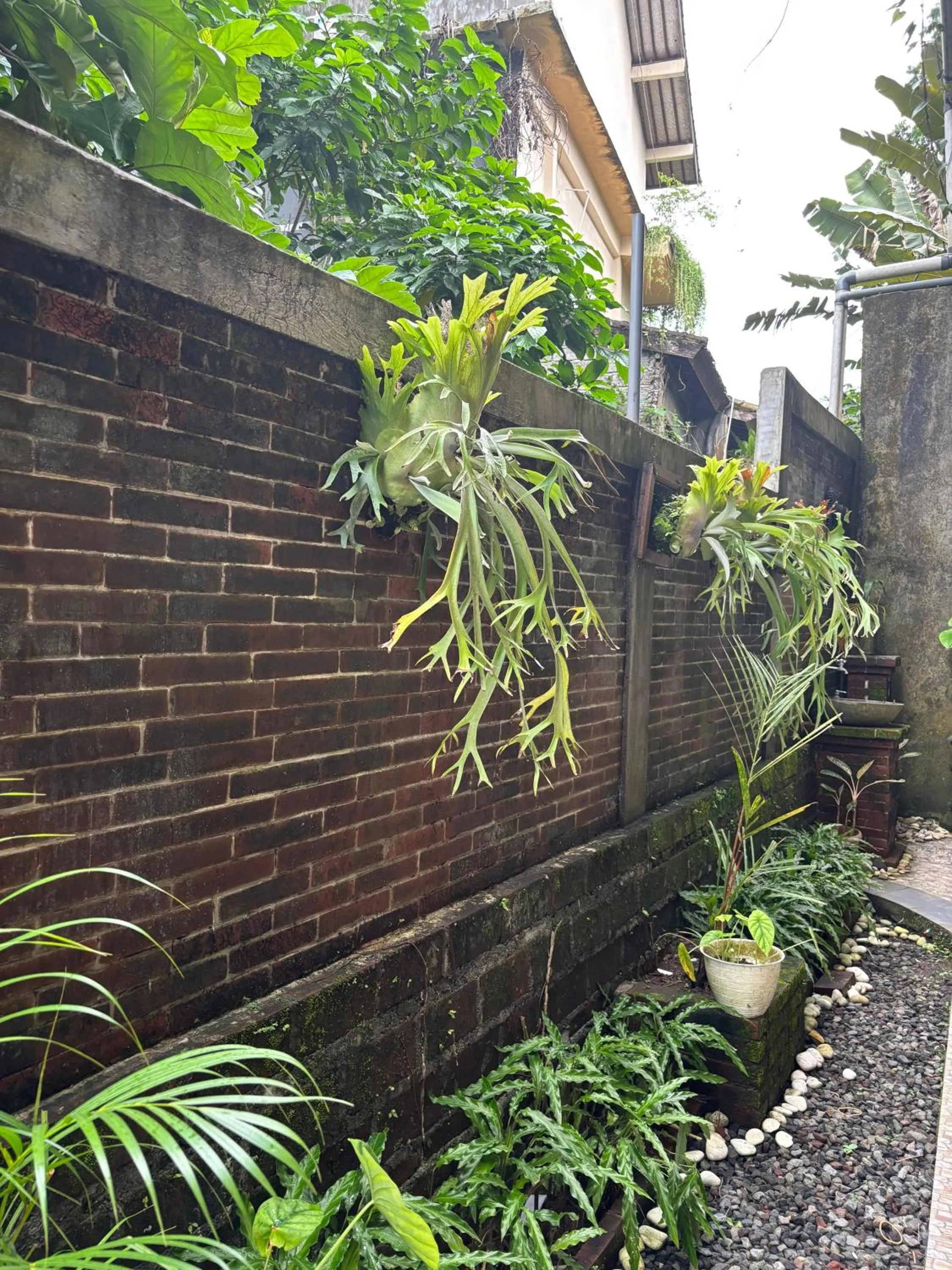 Garden view in Adi Jaya Cottages Ubud Suites by EPS - CHSE Certified