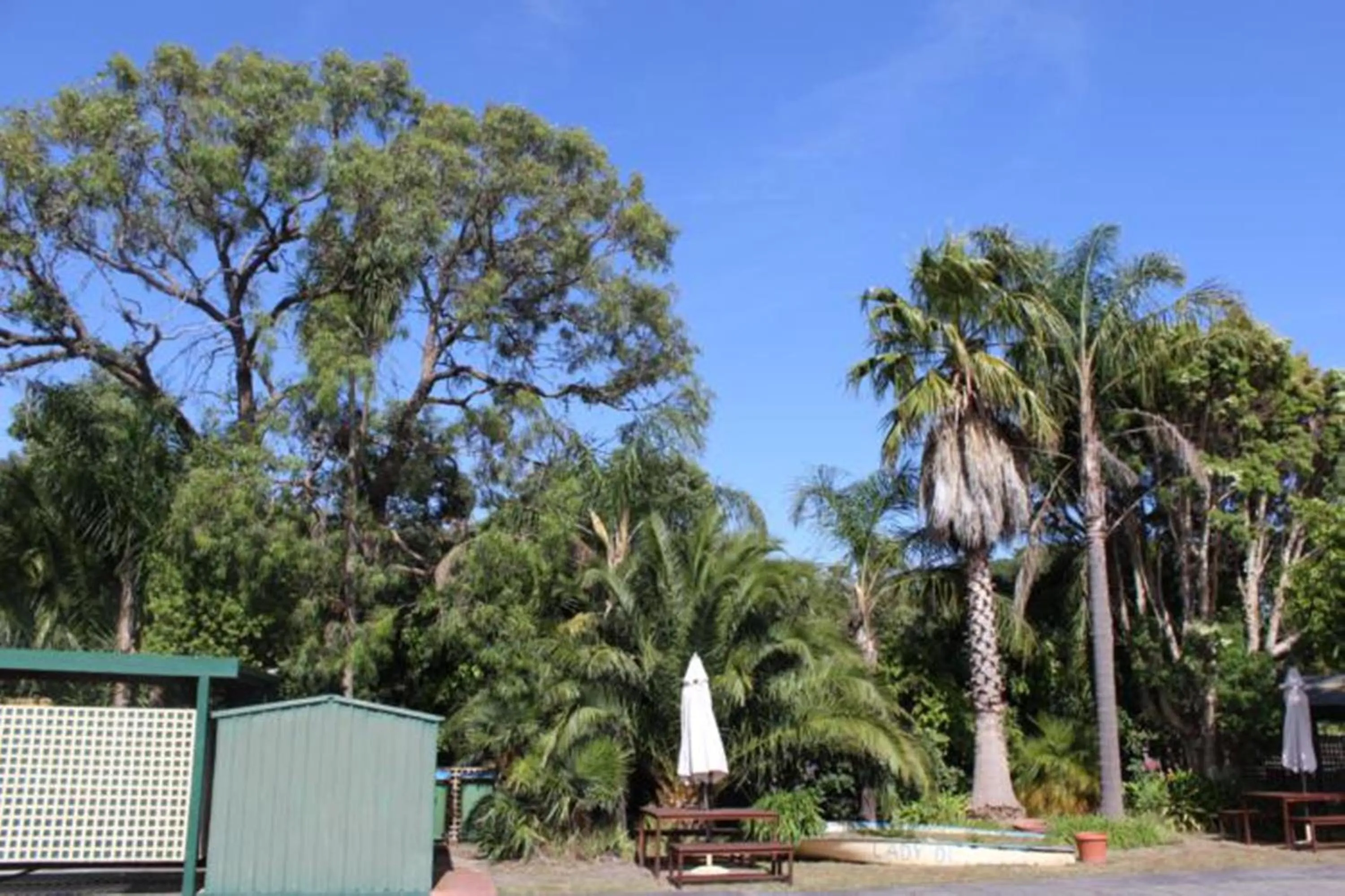 Day in The Balnarring Motel