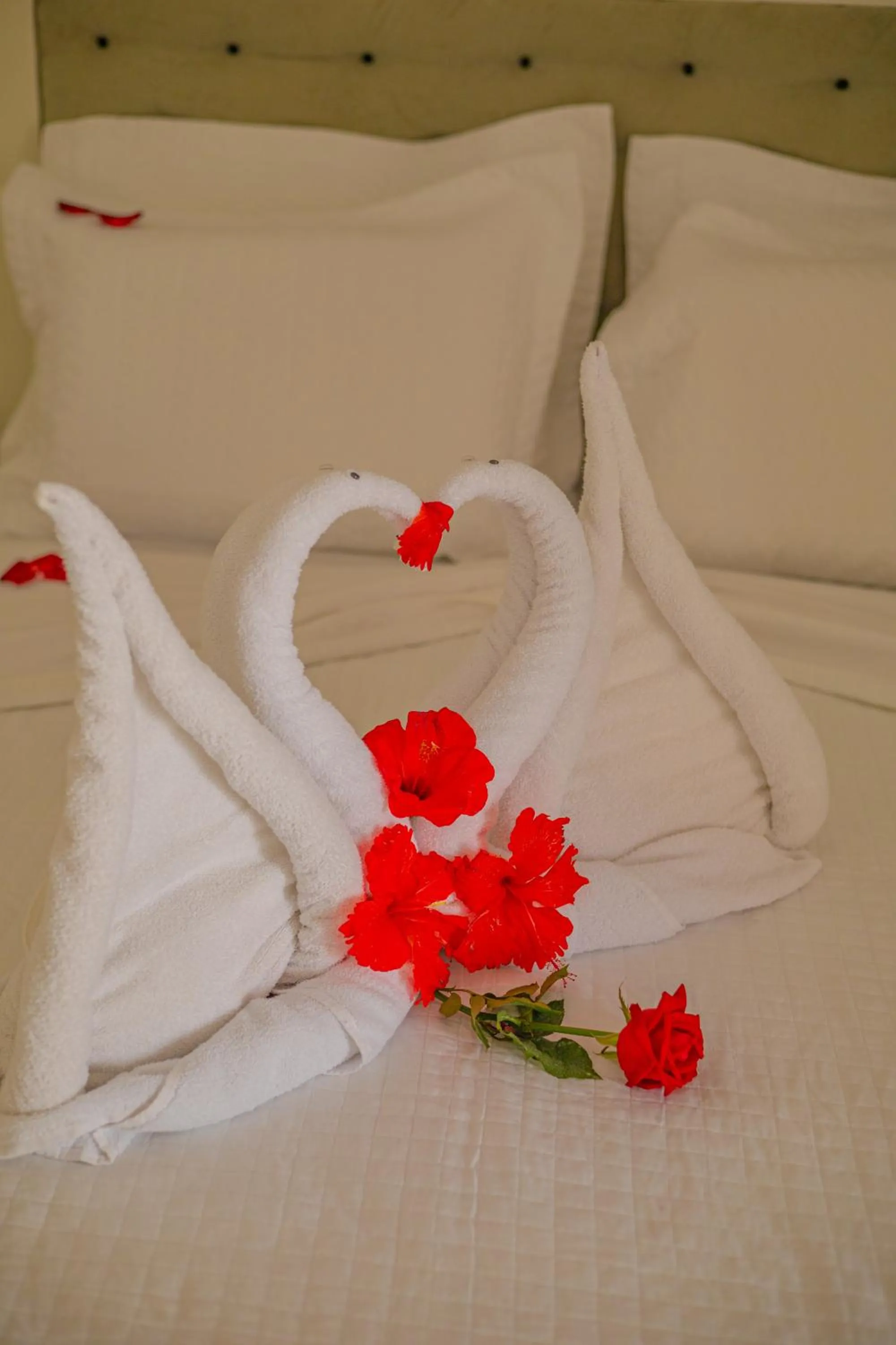 Bed in Pousada Polymar