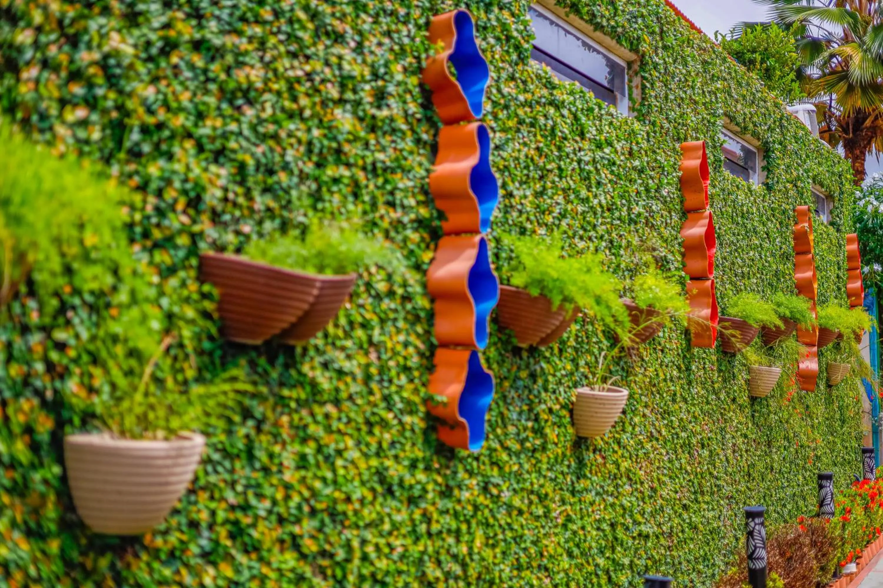 Day in Pousada Polymar