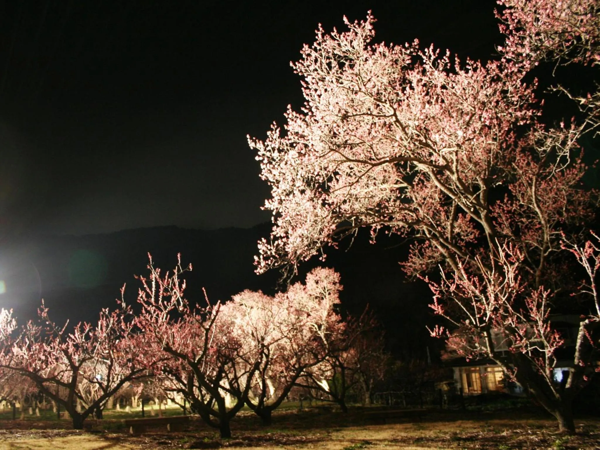 Off site in Hotel Uzuraya