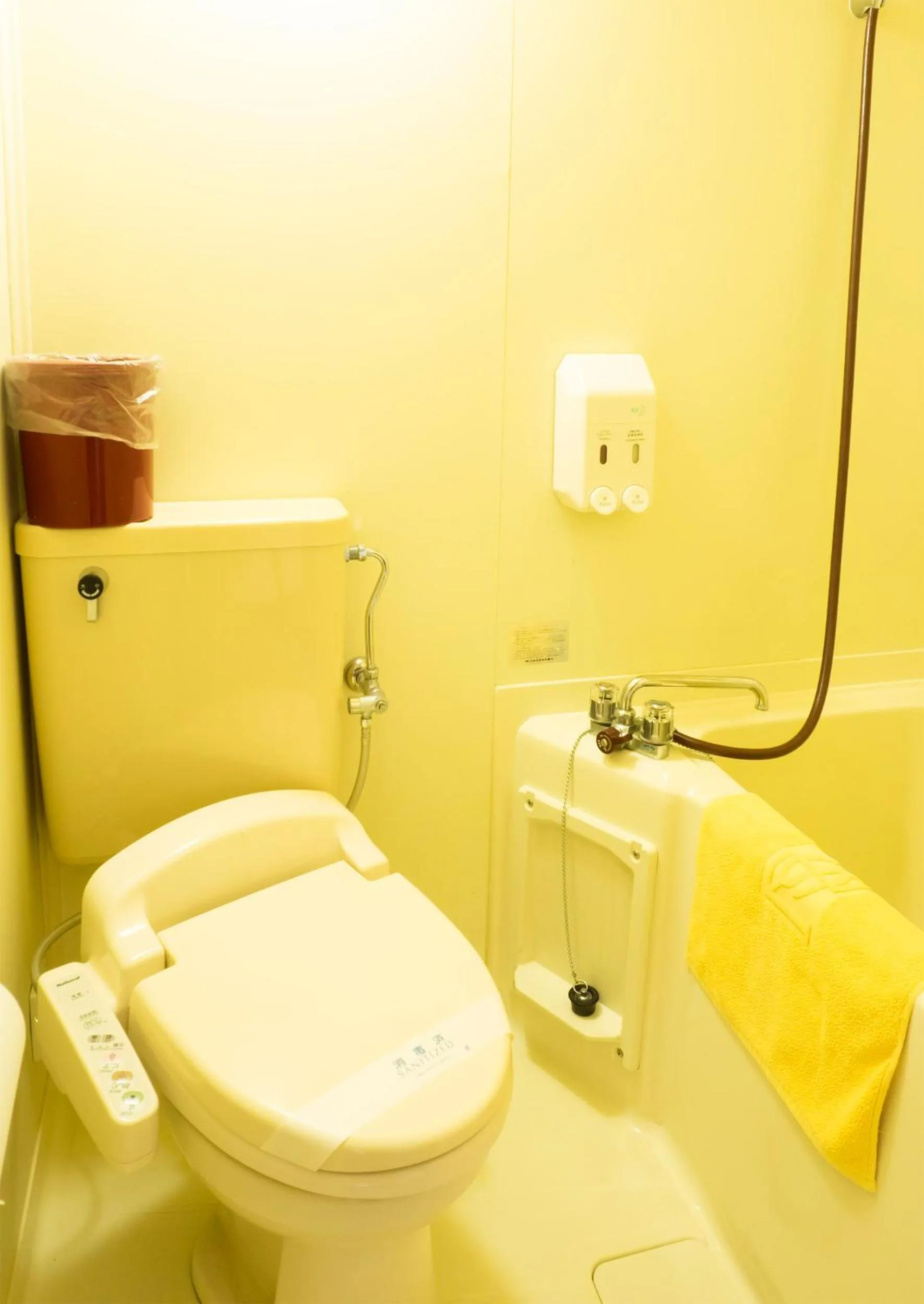 Hikone Station Hotel