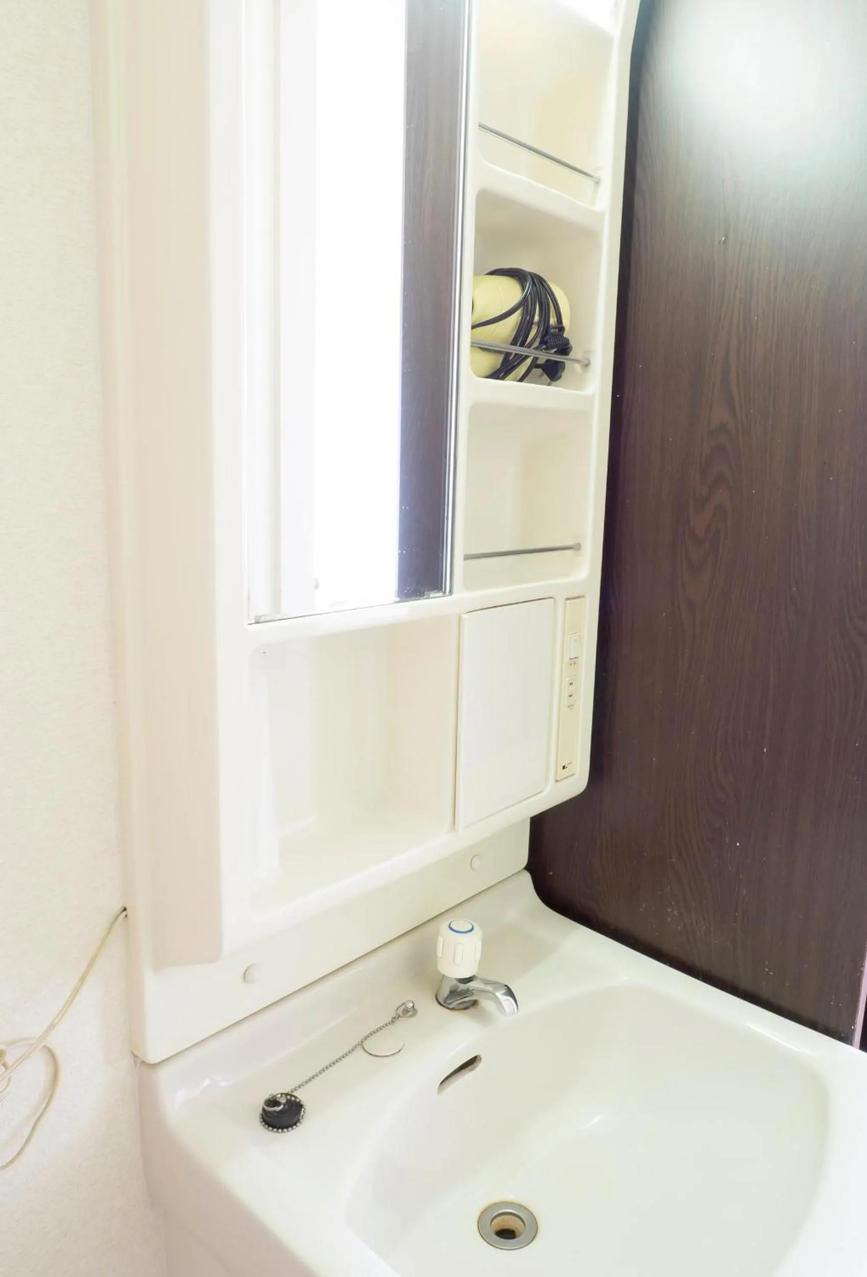 Hikone Station Hotel