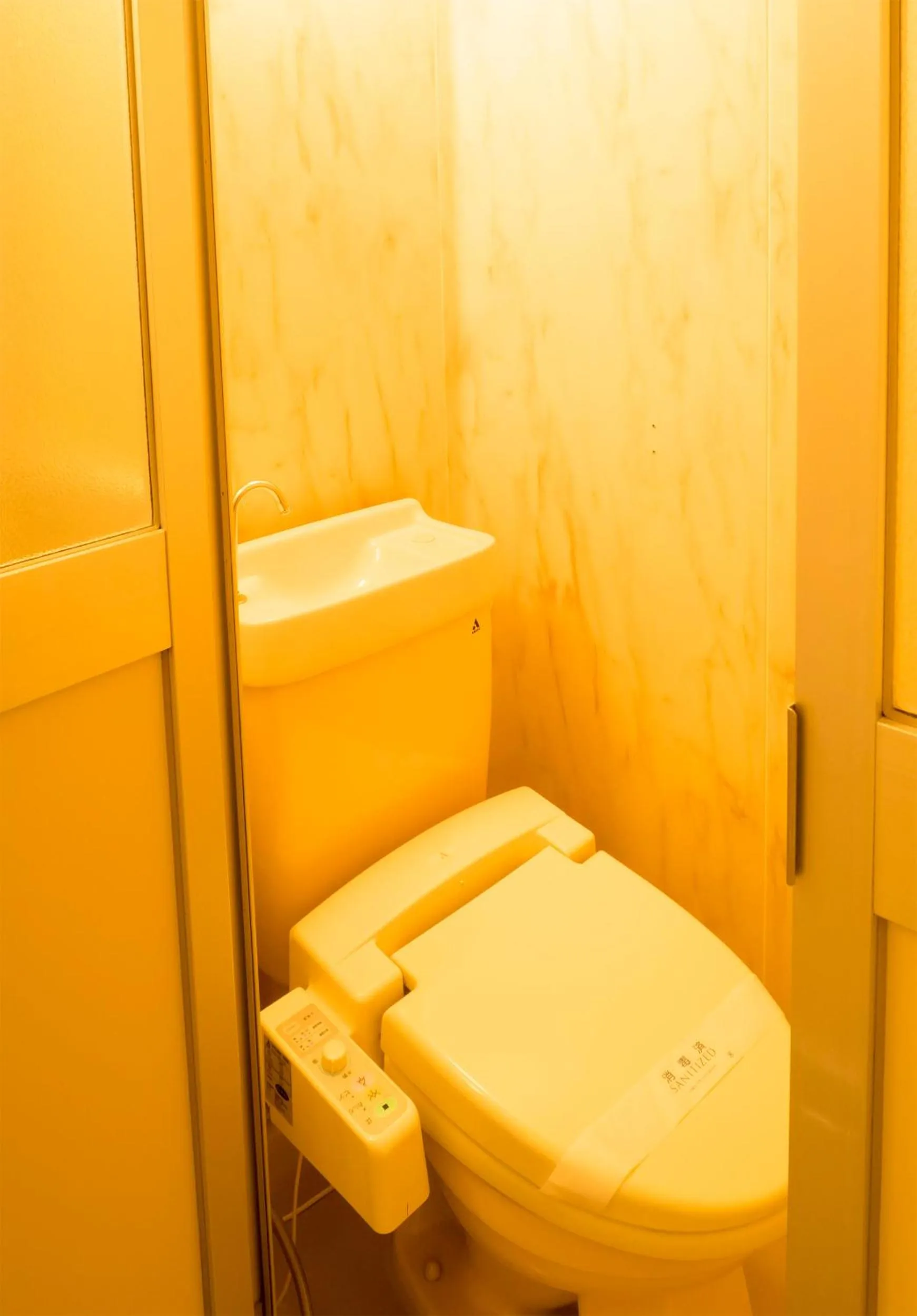 Hikone Station Hotel