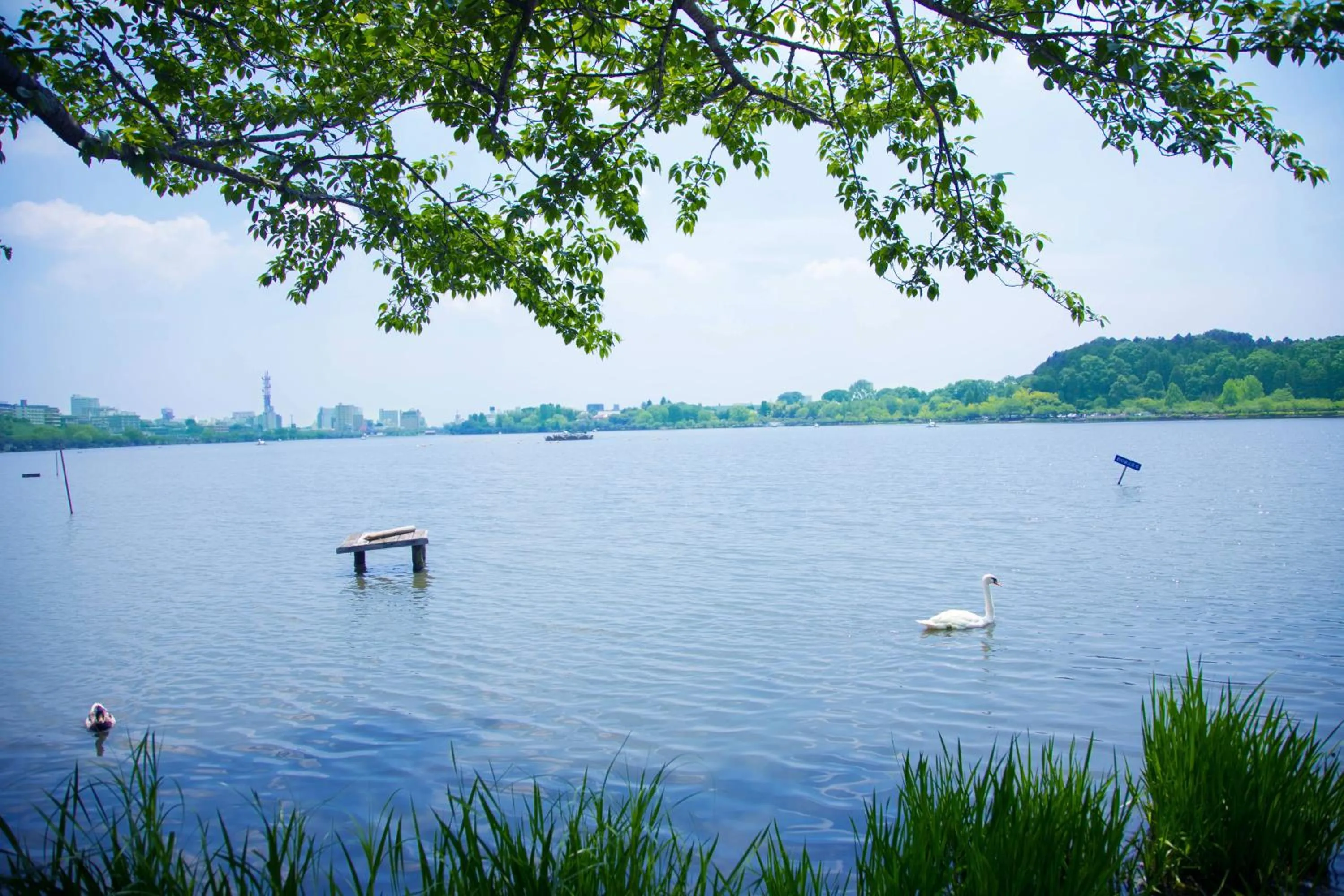 Nearby landmark in Mito Hotel Season