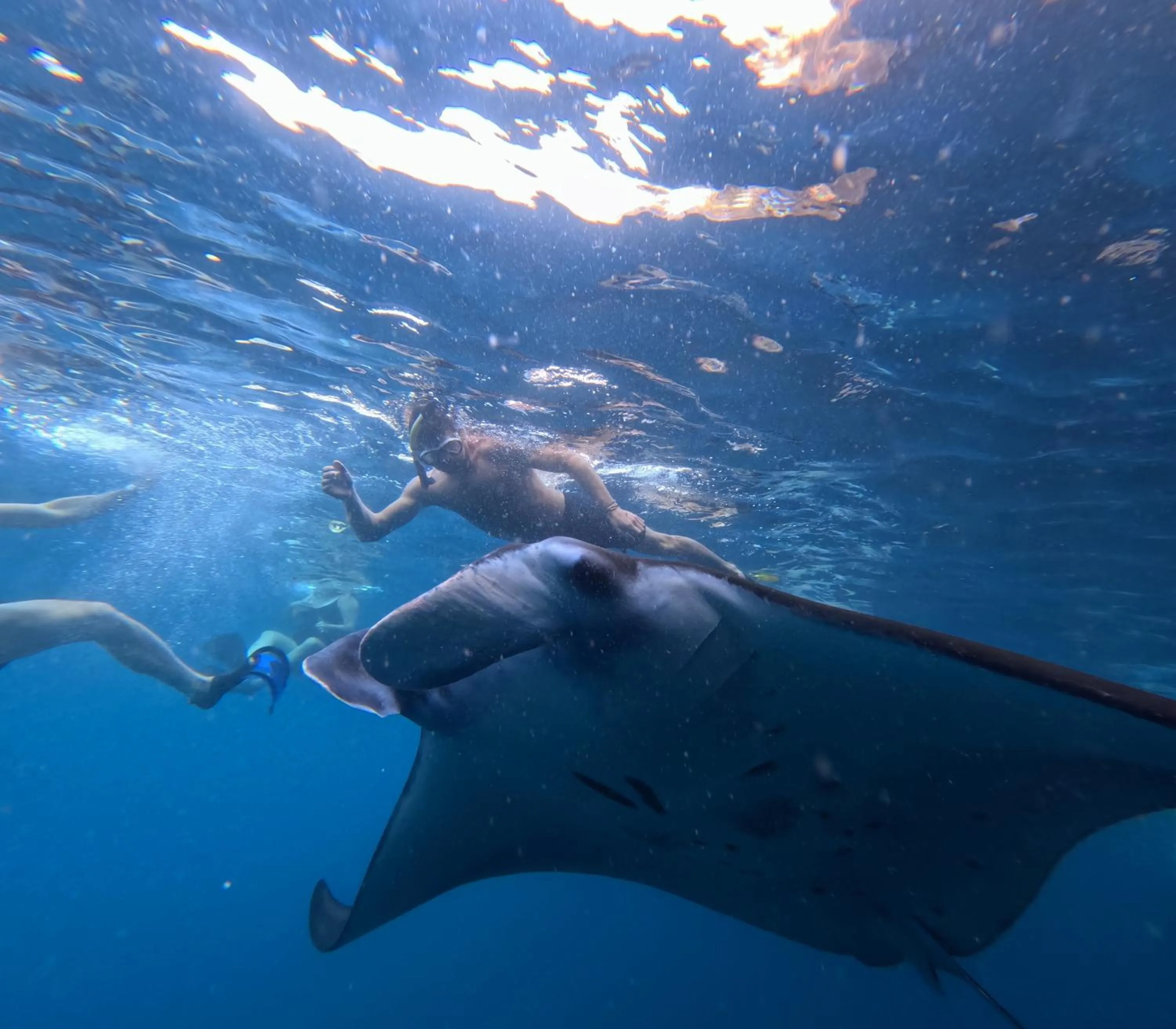 Sea Bridge Villa Ceningan