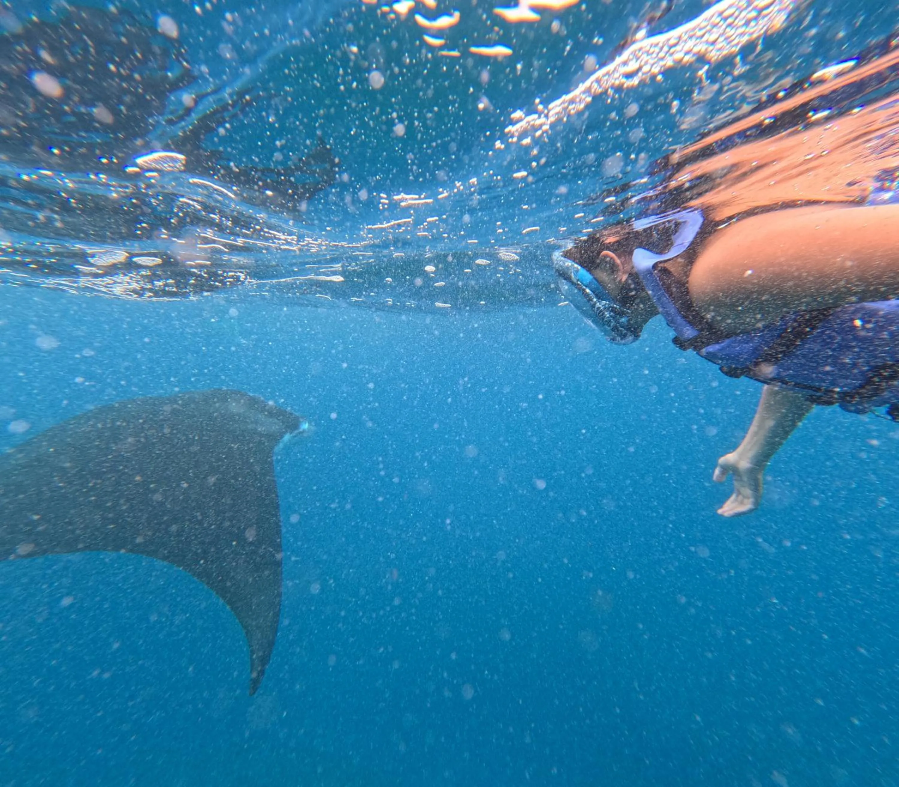 Sea Bridge Villa Ceningan